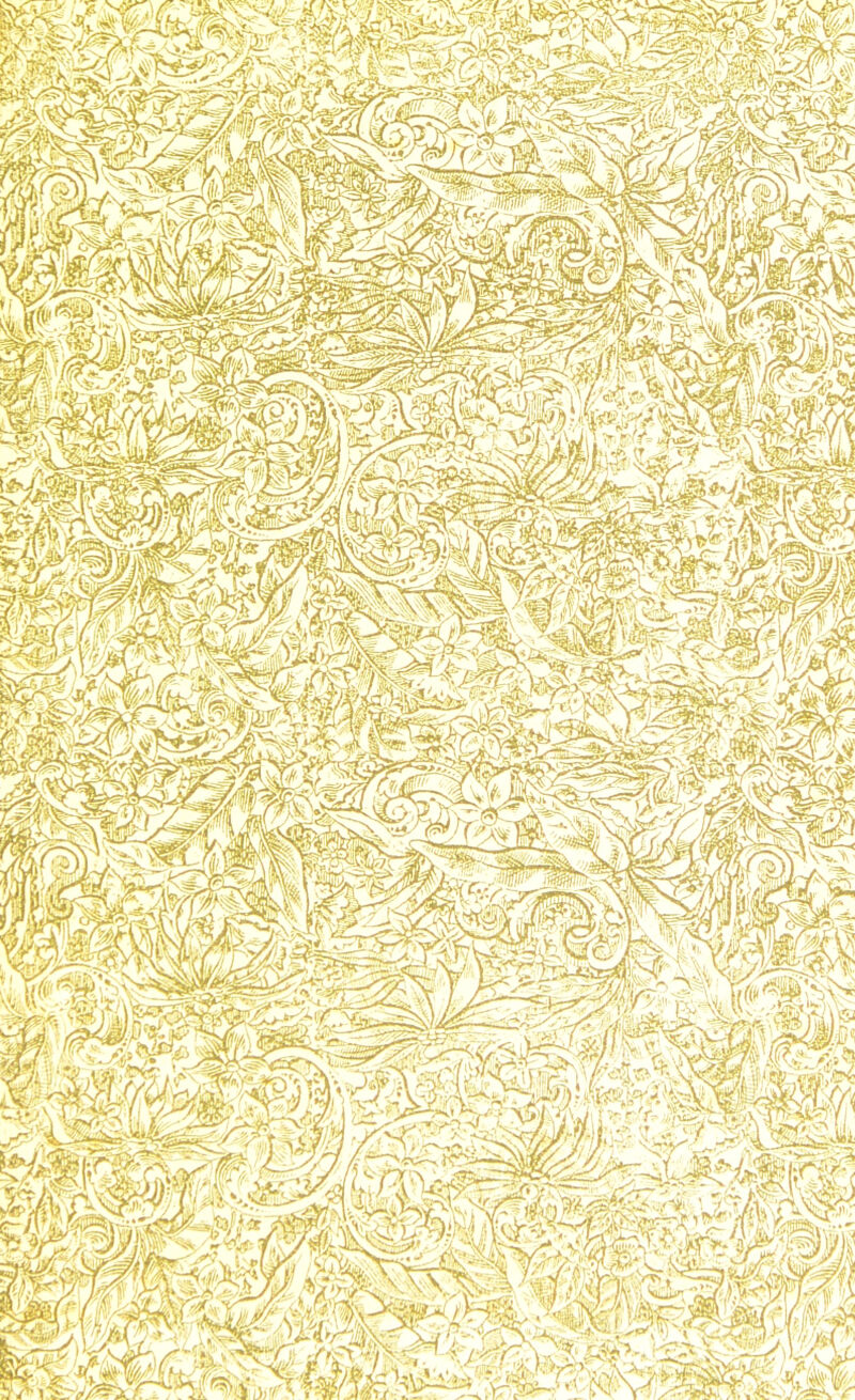 IS •V-IV?. mamt Wm&l