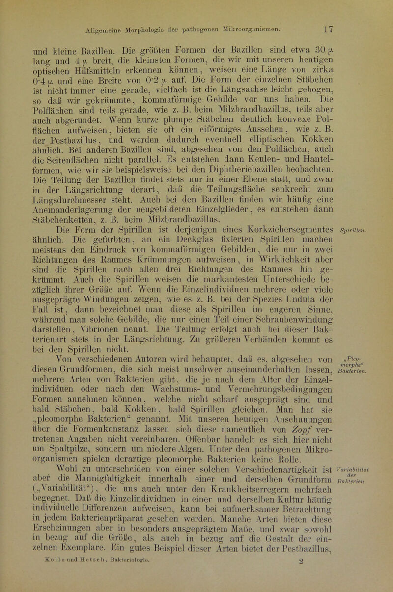 und kleine Bazillen. Die größten Formen der Bazillen sind etwa 30 u- lang und 4 y. breit, die kleinsten Formen, die wir mit unseren heutigen optischen Hilfsmitteln erkennen können, weisen eine Länge von zirka 0'4 u und eine Breite von 0-2 \j. auf. Die Form der einzelnen Stäbchen ist nicht immer eine gerade, vielfach ist die Längsachse leicht gebogen, so daß wir gekrümmte, kommaförmige Gebilde vor uns haben. Die Polflächen sind teils gerade, wie z. B. beim Milzbrandbazillus, teils aber auch abgerundet. Wenn kurze plumpe Stäbchen deutlich konvexe Pol- flächen aufweisen, bieten sie oft ein eiförmiges Aussehen, wie z. B. der Pestbazillus, und werden dadurch eventuell elliptischen Kokken ähnlich. Bei anderen Bazillen sind, abgesehen von den Polflächen, auch die Seitenflächen nicht parallel. Es entstehen dann Keulen- und Hantel- formen, wie wir sie beispielsweise bei den Diphtheriebazillen beobachten. Die Teilung der Bazillen findet stets nur in einer Ebene statt, und zwar in der Längsrichtung derart, daß die Teilungsfläche senkrecht zum Längsdurchmesser steht. Auch bei den Bazillen finden wir häufig eine Aneinanderlagerung der neugebildeten Einzelglieder, es entstehen dann Stäbchenketten, z. B. beim Milzbrandbazillus. Die Form der Spirillen ist derjenigen eines Korkziehersegmentes spinnen. ähnlich. Die gefärbten, an ein Deckglas fixierten Spirillen machen meistens den Eindruck von kommaförmigen Gebilden, die nur in zwei Richtungen des Raumes Krümmungen aufweisen, in Wirklichkeit aber sind die Spirillen nach allen drei Richtungen des Raumes hin ge- krümmt. Auch die Spirillen weisen die markantesten Unterschiede be- züglich ihrer Größe auf. Wenn die Einzelindividuen mehrere oder viele ausgeprägte Windungen zeigen, wie es z. B. bei der Spezies tJndula der Fall ist, dann bezeichnet man diese als Spirillen im engeren Sinne, während man solche Gebilde, die nur einen Teil einer Schraubenwindung darstellen, Vibrionen nennt. Die Teilung erfolgt auch bei dieser Bak- terienart stets in der Längsrichtung. Zu größeren Verbänden kommt es bei den Spirillen nicht. Von verschiedenen Autoren wird behauptet, daß es, abgesehen von »Ple°-u diesen Grundformen, die sich meist unschwer auseinanderhalten lassen, BakurLi. mehrere Arten von Bakterien gibt, die je nach dem Alter der Einzel- individuen oder nach den Wachstums- und Vermehrungsbedingungen Formen annehmen können, welche nicht scharf ausgeprägt sind und bald Stäbchen, bald Kokken, bald Spirillen gleichen. Man hat sie „pleomorphe Bakterien“ genannt. Mit unseren heutigen Anschauungen über die Formenkonstanz lassen sich diese namentlich von Zopf ver- tretenen Angaben nicht vereinbaren. Offenbar handelt es sich hier nicht um Spaltpilze, sondern um niedere Algen. Unter den pathogenen Mikro- organismen spielen derartige pleomorphe Bakterien keine Rolle. Wohl zu unterscheiden von einer solchen Verschiedenartigkeit ist variabmut aber die Mannigfaltigkeit innerhalb einer und derselben Grundform Bakterien. („Variabilität“), die uns auch unter den Krankheitserregern mehrfach begegnet. Daß die Einzelindividuen in einer und derselben Kultur häufig individuelle Differenzen aufweisen, kann bei aufmerksamer Betrachtung in jedem Bakterienpräparat gesehen werden. Manche Arten bieten diese Erscheinungen aber in besonders ausgeprägtem Maße, und zwar sowohl in bezug auf die Größe, als auch in bezug auf die Gestalt der ein- zelnen Exemplare. Ein gutes Beispiel dieser Arten bietet der Restbazillus, Kollo und H e 18ch , Bakteriologie. 9