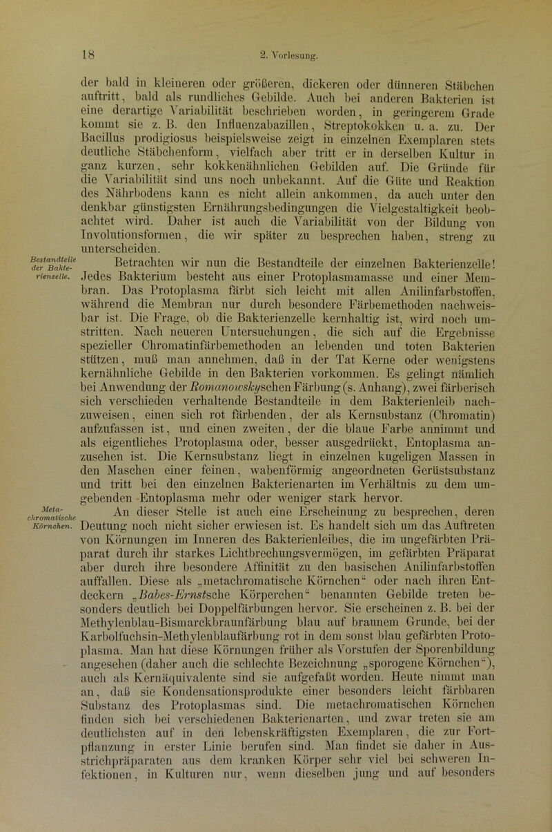 Bestandteile der Bakte- rienzelle. Meta- chromatische Körnchen. der bald in kleineren oder größeren, dickeren oder dünneren Stäbchen auftritt, bald als rundliches Gebilde. Auch bei anderen Bakterien ist eine derartige Variabilität beschrieben worden, in geringerem Grade kommt sie z. B. den Influenzabazillen, Streptokokken u. a, zu. Der Bacillus prodigiosus beispielsweise zeigt in einzelnen Exemplaren stets deutliche Stäbchenform, vielfach aber tritt er in derselben Kultur in ganz kurzen, sehr kokkenähnlichen Gebilden auf. Die Gründe für die Variabilität sind uns noch unbekannt. Auf die Güte und Reaktion des Nährbodens kann es nicht allein ankommen, da auch unter den denkbar günstigsten Ernährungsbedingungen die Vielgestaltigkeit beob- achtet wird. Daher ist auch die Variabilität von der Bildung von Involutionsformen, die wir später zu besprechen haben, streng zu unterscheiden. Betrachten wir nun die Bestandteile der einzelnen Bakterienzelle! .Jedes Bakterium besteht aus einer Protoplasmamasse und einer Mem- bran. Das Protoplasma färbt sich leicht mit allen Anilinfarbstoffen, während die Membran nur durch besondere Färbemethoden nachweis- bar ist. Die Frage, ob die Bakterienzelle kernhaltig ist, wird noch um- stritten. Nach neueren Untersuchungen, die sich auf die Ergebnisse spezieller Chromatinfärbemethoden an lebenden und toten Bakterien stützen, muß man annehmen, daß in der Tat Kerne oder wenigstens kernähnliche Gebilde in den Bakterien Vorkommen. Es gelingt nämlich bei Anwendung der Romanoivsk/ßchm Färbung (s. Anhang), zwei färberisch sich verschieden verhaltende Bestandteile in dem Bakterienleib nach- zuweisen , einen sich rot färbenden, der als Kernsubstanz (Chromatin) aufzufassen ist, und einen zweiten, der die blaue Farbe annimmt und als eigentliches Protoplasma oder, besser ausgedrückt, Entoplasma an- zusehen ist. Die Kernsubstanz liegt in einzelnen kugeligen Massen in den Maschen einer feinen, wabenförmig angeordneten Gerüstsubstanz und tritt bei den einzelnen Bakterienarten im Verhältnis zu dem um- gebenden Entoplasma mehr oder weniger stark hervor. An dieser Stelle ist auch eine Erscheinung zu besprechen, deren Deutung noch nicht sicher erwiesen ist. Es handelt sich um das Auftreten von Körnungen im Inneren des Bakterienleibes, die im ungefärbten Prä- parat durch ihr starkes Lichtbrechungsvermögen, im gefärbten Präparat aber durch ihre besondere Affinität zu den basischen Anilinfarbstoffen auffallen. Diese als „nietachromatische Körnchen“ oder nach ihren Ent- deckern „Babes-Ernstsche Körperchen“ benannten Gebilde treten be- sonders deutlich bei Doppelfärbungen hervor. Sie erscheinen z. B. bei der Methylenblau-Bismarckbraunfärbung blau auf braunem Grunde, bei der Karbolfuchsin-Methylenblaufärbung rot in dem sonst blau gefärbten Proto- plasma. Man hat diese Körnungen früher als Vorstufen der Sporenbildung angesehen (daher auch die schlechte Bezeichnung „sporogene Körnchen“), auch als Kern äquivalente sind sie aufgefaßt worden. Heute nimmt man an, daß sie Kondensationsprodukte einer besonders leicht färbbaren Substanz des Protoplasmas sind. Die metachromatischen Körnchen finden sich bei verschiedenen Bakterien arten, und zwar treten sie am deutlichsten auf in den lebenskräftigsten Exemplaren, die zur Fort- pflanzung in erster Linie berufen sind. Man findet sie daher in Aus- strichpräparaten aus dem kranken Körper sehr viel bei schweren In- fektionen, in Kulturen nur, wenn dieselben jung und auf besonders