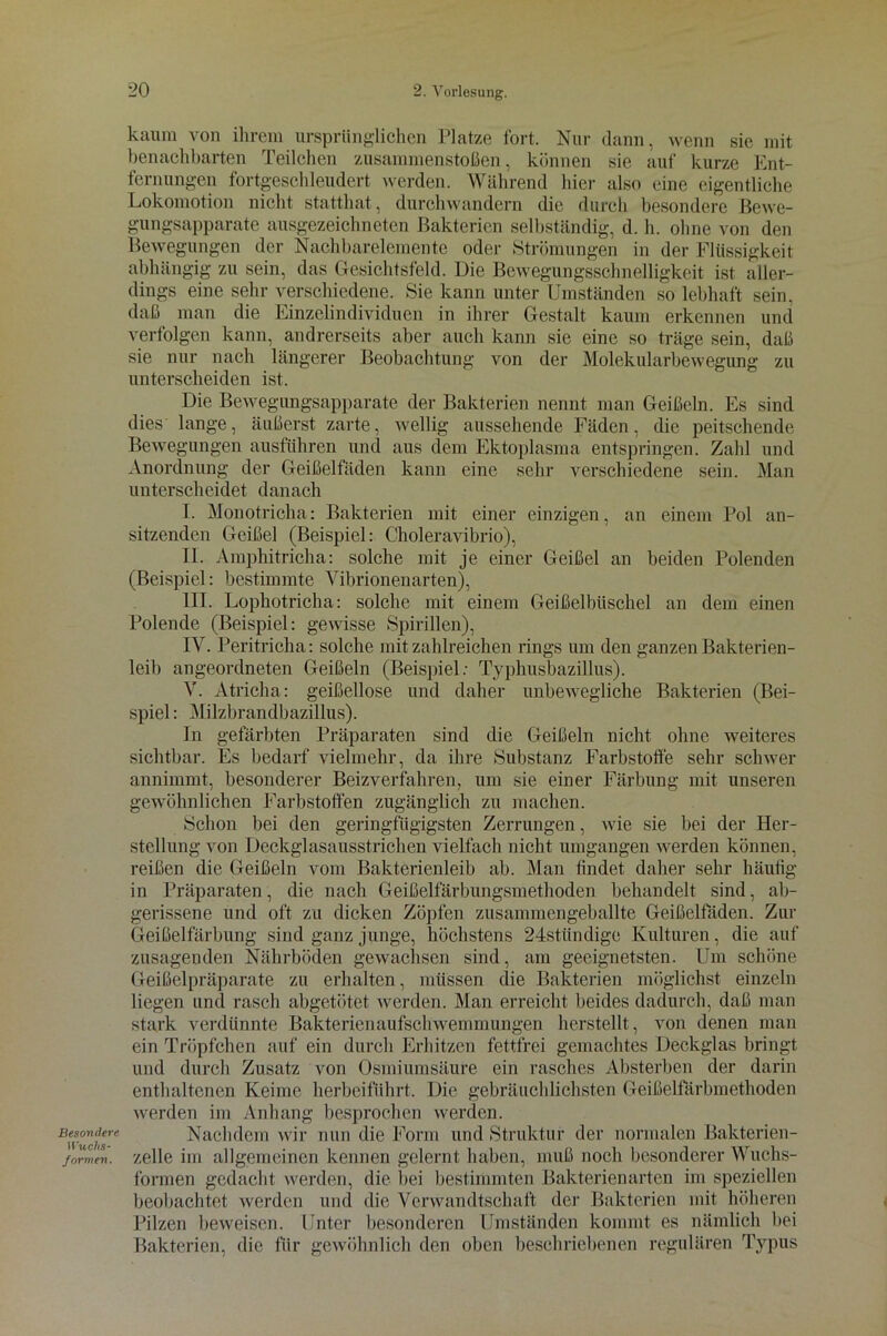 Besondere Wuchs- formen. kaum von ihrem ursprünglichen Platze fort. Nur dann, wenn sie mit benachbarten Teilchen Zusammenstößen, können sie auf kurze Ent- fernungen fortgeschleudert werden. Während hier also eine eigentliche Lokomotion nicht statthat, durchwandern die durch besondere Bewe- gungsapparate ausgezeichneten Bakterien selbständig, d. h. ohne von den Bewegungen der Nachbarelemente oder Strömungen in der Flüssigkeit abhängig zu sein, das Gesichtsfeld. Die Bewegungsschnelligkeit ist aller- dings eine sehr verschiedene. Sie kann unter Umständen so lebhaft sein, daß man die Einzelindividuen in ihrer Gestalt kaum erkennen und verfolgen kann, andrerseits aber auch kann sic eine so träge sein, daß sie nur nach längerer Beobachtung von der Molekularbewegung zu unterscheiden ist. Die Bewegungsapparate der Bakterien nennt man Geißeln. Es sind dies lange, äußerst zarte, wellig aussehende Fäden, die peitschende Bewegungen ausführen und aus dem Ektoplasma entspringen. Zahl und Anordnung der Geißelfäden kann eine sehr verschiedene sein. Man unterscheidet danach I. Monotricha: Bakterien mit einer einzigen, an einem Pol an- sitzenden Geißel (Beispiel: Choleravibrio), II. Amphitricha: solche mit je einer Geißel an beiden Polenden (Beispiel: bestimmte Vibrionenarten), III. Lophotricha: solche mit einem Geißelbüschel an dem einen Polende (Beispiel: gewisse Spirillen), IV. Peritricha: solche mit zahlreichen rings um den ganzen Bakterien- leib angeordneten Geißeln (Beispiel: Typhusbazillus). V. Atricha: geißellose und daher unbewegliche Bakterien (Bei- spiel : Milzbrandbazillus). In gefärbten Präparaten sind die Geißeln nicht ohne weiteres sichtbar. Es bedarf vielmehr, da ihre Substanz Farbstoffe sehr schwer annimmt, besonderer Beizverfahren, um sie einer Färbung mit unseren gewöhnlichen Farbstoffen zugänglich zu machen. Schon bei den geringfügigsten Zerrungen, wie sie bei der Her- stellung von Deckglasausstrichen vielfach nicht umgangen werden können, reißen die Geißeln vom Bakterienleib ab. Man findet daher sehr häufig in Präparaten, die nach Geißelfärbungsmethoden behandelt sind, ab- gerissene und oft zu dicken Zöpfen zusammengeballte Geißelfäden. Zur Geißelfärbung sind ganz junge, höchstens 24stiindige Kulturen, die auf zusagenden Nährböden gewachsen sind, am geeignetsten. Um schöne Geißelpräparate zu erhalten, müssen die Bakterien möglichst einzeln liegen und rasch abgetötet werden. Man erreicht beides dadurch, daß man stark verdünnte Bakterienaufschwemmungen herstellt, von denen man ein Tröpfchen auf ein durch Erhitzen fettfrei gemachtes Deckglas bringt und durch Zusatz von Osmiumsäure ein rasches Absterben der darin enthaltenen Keime herbeiführt. Die gebräuchlichsten Geißelfärbmethoden werden im Anhang besprochen werden. Nachdem wir nun die Form und Struktur der normalen Bakterien- zelle im allgemeinen kennen gelernt haben, muß noch besonderer Wuchs- formen gedacht werden, die bei bestimmten Bakterien arten im speziellen beobachtet werden und die Verwandtschaft der Bakterien mit höheren Pilzen beweisen. Unter besonderen Umständen kommt es nämlich bei Bakterien, die für gewöhnlich den oben beschriebenen regulären Typus