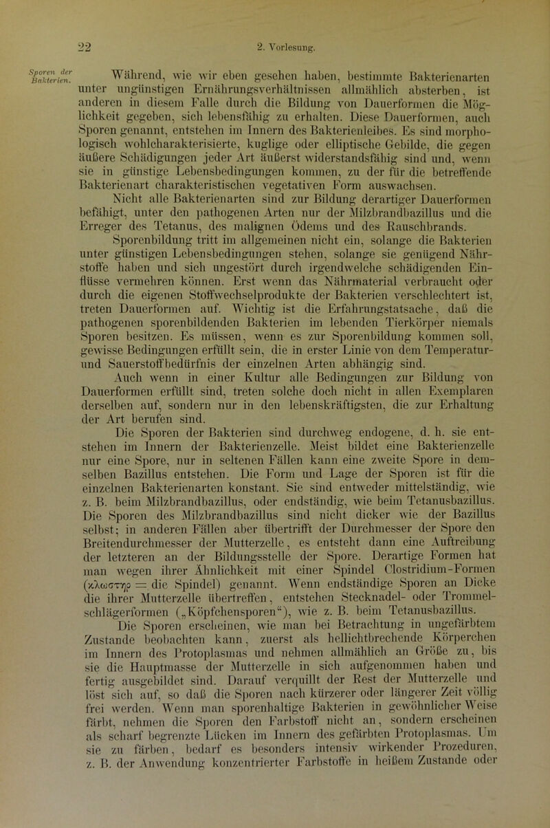 Sporen cler Bakterien. Während, wie wir eben gesehen haben, bestimmte Bakterienarten unter ungünstigen Ernährungsverhältnissen allmählich absterben, ist anderen in diesem Falle durch die Bildung von Dauerformen die Mög- lichkeit gegeben, sich lebensfähig zu erhalten. Diese Dauerformen, auch Sporen genannt, entstehen im Innern des Bakterienleibes. Es sind morpho- logisch wohlcharakterisierte, kuglige oder elliptische Gebilde, die gegen äußere Schädigungen jeder Art äußerst widerstandsfähig sind und, wenn sie in günstige Lebensbedingungen kommen, zu der für die betreffende Bakterienart charakteristischen vegetativen Form auswachsen. Nicht alle Bakterienarten sind zur Bildung derartiger Dauerformen befähigt, unter den pathogenen Arten nur der Milzbrandbazillus und die Erreger des Tetanus, des malignen Ödems und des Rauschbrands. Sporenbildung tritt im allgemeinen nicht ein, solange die Bakterien unter günstigen Lebensbedingnngen stehen, solange sie genügend Nähr- stoffe haben und sich ungestört durch irgendwelche schädigenden Ein- flüsse vermehren können. Erst wenn das Nährmaterial verbraucht oder durch die eigenen Stoffwechselprodukte der Bakterien verschlechtert ist, treten Dauerformen auf. Wichtig ist die Erfahrungstatsache, daß die pathogenen sporenbildenden Bakterien im lebenden Tierkörper niemals Sporen besitzen. Es müssen, wenn es zur Sporenbildung kommen soll, gewisse Bedingungen erfüllt sein, die in erster Linie von dem Temperatur- lind Sauerstoffbedürfnis der einzelnen Arten abhängig sind. Auch wenn in einer Kultur alle Bedingungen zur Bildung von Dauerformen erfüllt sind, treten solche doch nicht in allen Exemplaren derselben auf, sondern nur in den lebenskräftigsten, die zur Erhaltung der Art berufen sind. Die Sporen der Bakterien sind durchweg endogene, d. h. sie ent- stehen im Innern der Bakterienzelle. Meist bildet eine Bakterienzelle nur eine Spore, nur in seltenen Fällen kann eine zweite Spore in dem- selben Bazillus entstehen. Die Form und Lage der Sporen ist für die einzelnen Bakterien arten konstant. Sie sind entweder mittelständig, wie z. B. beim Milzbrandbazillus, oder endständig, wie beim Tetanusbazillus. Die Sporen des Milzbrandbazillus sind nicht dicker wie der Bazillus selbst; in anderen Fallen aber übertrifft der Durchmesser der Spore den Breitendurchmesser der Mutterzelle, es entsteht dann eine Auftreibung der letzteren an der Bildungsstelle der Spore. Derartige Formen hat man wegen ihrer Ähnlichkeit mit einer Spindel Clostridium-Formen (xAgjgt>)p = die Spindel) genannt. Wenn endständige Sporen an Dicke die ihrer Mutterzelle Ubertreffen, entstehen Stecknadel- oder Trommel- schlägerformen („Köpfchensporen“), wie z. B. beim Tetanusbazillus. Die Sporen erscheinen, wie man bei Betrachtung in ungefärbtem Zustande beobachten kann, zuerst als hellichtbrechende Körperchen im Innern des Protoplasmas und nehmen allmählich an Größe zu, bis sie die Hauptmasse der Mutterzelle in sich aufgenommen haben und fertig ausgebildet sind. Darauf verquillt der Rest der Mutterzelle und löst sich auf, so daß die Sporen nach kürzerer oder längerer Zeit völlig frei werden. Wenn man sporenhaltige Bakterien in gewöhnlicher Weise färbt, nehmen die Sporen den Farbstoff nicht an, sondern erscheinen als scharf begrenzte Lücken im Innern des gefärbten Protoplasmas. Um sie zu färben, bedarf es besonders intensiv wirkender Prozeduren, z. B. der Anwendung konzentrierter Farbstoffe in heißem Zustande oder