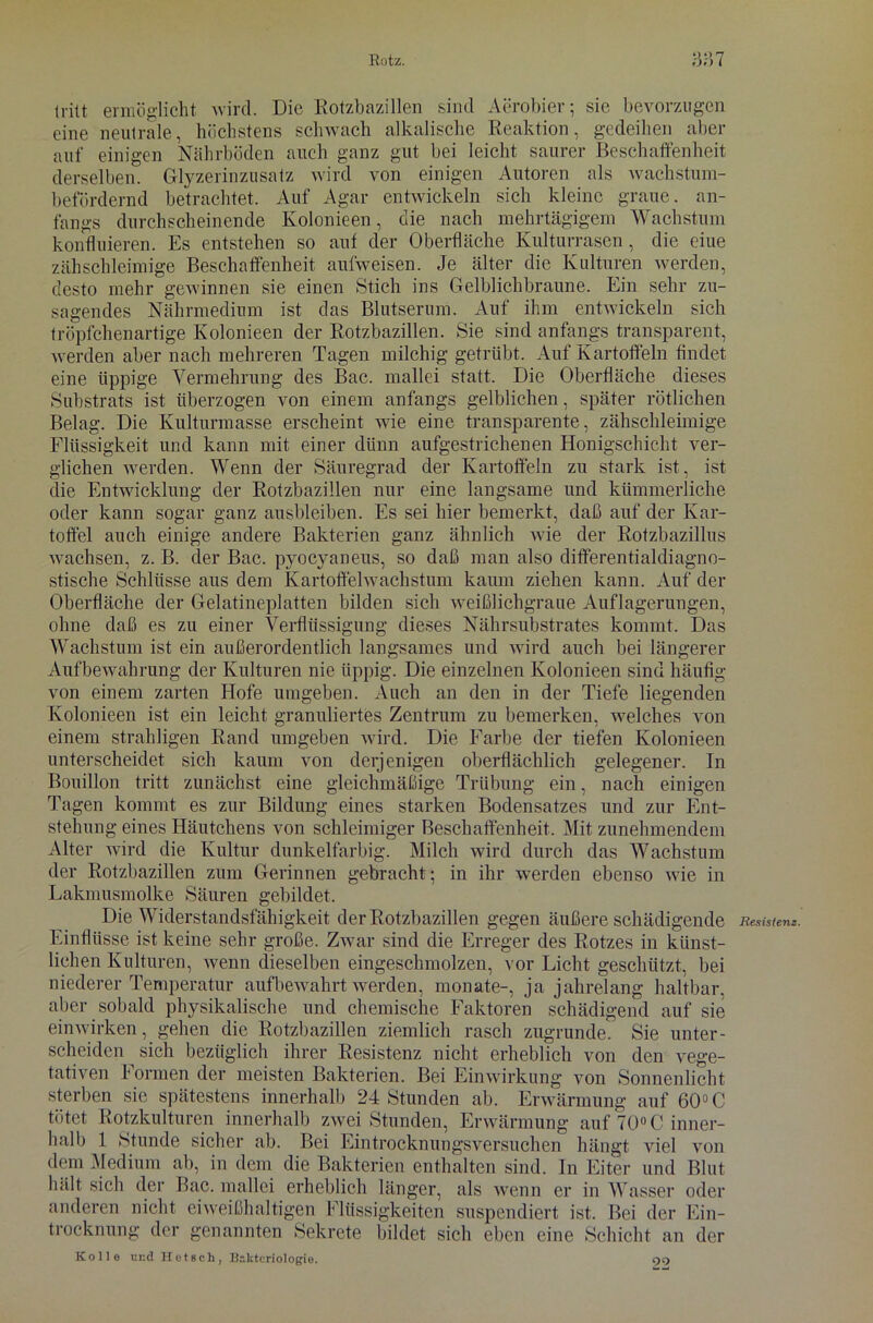 tritt ermöglicht wird. Die Rotzbazillen sind Aerobier; sie bevorzugen eine neutrale, höchstens schwach alkalische Reaktion, gedeihen aber auf einigen Nährböden auch ganz gut bei leicht saurer Beschaffenheit derselben. Glyzerinzusatz wird von einigen Autoren als wachstum- befördernd betrachtet. Auf Agar entwickeln sich kleine graue, an- fangs durchscheinende Kolonieen, die nach mehrtägigem Wachstum konfhiieren. Es entstehen so auf der Oberfläche Kulturrasen, die eiue zähschleimige Beschaffenheit aufweisen. Je älter die Kulturen werden, desto mehr gewönnen sie einen Stich ins Gelblichbraune. Ein sehr zu- sagendes Nährmedium ist das Blutserum. Auf ihm entwickeln sich tröpfchenartige Kolonieen der Rotzbazillen. Sie sind anfangs transparent, werden aber nach mehreren Tagen milchig getrübt. Auf Kartoffeln findet eine üppige Vermehrung des Bac. mallei statt. Die Oberfläche dieses Substrats ist überzogen von einem anfangs gelblichen, später rötlichen Belag. Die Kulturmasse erscheint wie eine transparente, zähschleimige Flüssigkeit und kann mit einer dünn aufgestrichenen Honigschicht ver- glichen werden. Wenn der Säuregrad der Kartoffeln zu stark ist, ist die Entwicklung der Rotzbazillen nur eine langsame und kümmerliche oder kann sogar ganz ausbleiben. Es sei hier bemerkt, daß auf der Kar- toffel auch einige andere Bakterien ganz ähnlich wie der Rotzbazillus wachsen, z. B. der Bac. pyocyaneus, so daß man also differentialdiagno- stische Schlüsse aus dem Kartoffelwachstum kaum ziehen kann. Auf der Oberfläche der Gelatineplatten bilden sich weißlichgraue Auflagerungen, ohne daß es zu einer Verflüssigung dieses Nährsubstrates kommt. Das Wachstum ist ein außerordentlich langsames und wird auch bei längerer Aufbewahrung der Kulturen nie üppig. Die einzelnen Kolonieen sind häufig von einem zarten Hofe umgeben. Auch an den in der Tiefe liegenden Kolonieen ist ein leicht granuliertes Zentrum zu bemerken, welches von einem strahligen Rand umgeben wird. Die Farbe der tiefen Kolonieen unterscheidet sich kaum von derjenigen oberflächlich gelegener. In Bouillon tritt zunächst eine gleichmäßige Trübung ein, nach einigen Tagen kommt es zur Bildung eines starken Bodensatzes und zur Ent- stehung eines Häutchens von schleimiger Beschaffenheit. Mit zunehmendem Alter wird die Kultur dunkelfarbig. Milch wird durch das Wachstum der Rotzbazillen zum Gerinnen gebracht; in ihr werden ebenso wie in Lakmusmolke Säuren gebildet. Die Widerstandsfähigkeit der Rotzbazillen gegen äußere schädigende Einflüsse ist keine sehr große. Zwar sind die Erreger des Rotzes in künst- lichen Kulturen, wenn dieselben eingeschmolzen, vor Licht geschützt, bei niederer Temperatur aufbewahrt werden, monate-, ja jahrelang haltbar, aber sobald physikalische und chemische Faktoren schädigend auf sie einwirken, gehen die Rotzbazillen ziemlich rasch zugrunde. Sie unter- scheiden sich bezüglich ihrer Resistenz nicht erheblich von den vege- tativen Formen der meisten Bakterien. Bei Einwirkung von Sonnenlicht sterben sie spätestens innerhalb 24 Stunden ab. Erwärmung auf 60° C tötet Rotzkulturen innerhalb zwei Stunden, Erwärmung auf 70° C inner- halb 1 Stunde sicher ab. Bei Eintrocknungsversuchen hängt viel von dem Medium ab, in dem die Bakterien enthalten sind. In Eiter und Blut hält sich der Bac. mallei erheblich länger, als wenn er in Wasser oder anderen nicht eiweißhaltigen Flüssigkeiten suspendiert ist. Bei der Ein- trocknung der genannten Sekrete bildet sich eben eine Schicht an der Kolle und Hctsch, Bakteriologie. Resistenz. 22