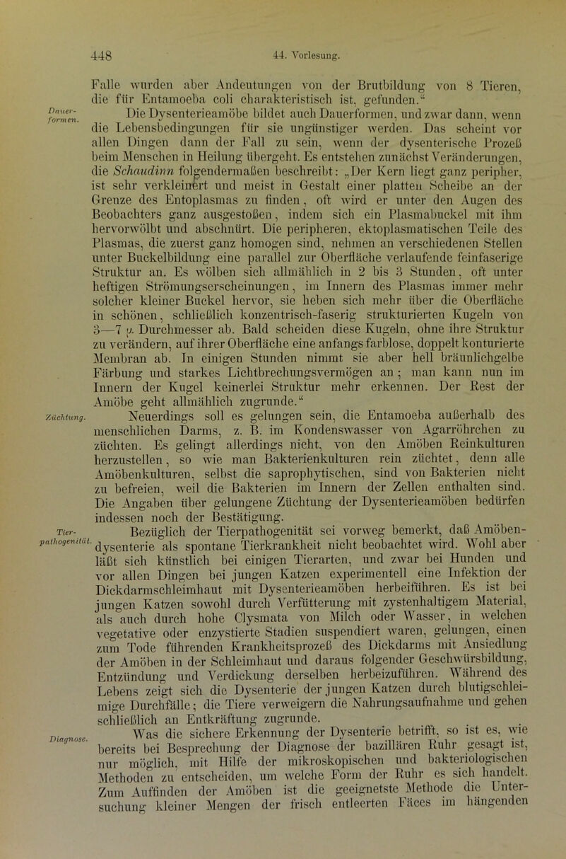 Dnuer- formen. Züchtung. Tier- pathogenilät Diagnose. Falle wurden aber Andeutungen von der Brutbildung von 8 Tieren, die für Entamoeba coli charakteristisch ist, gefunden.“ Die Dysenterieamöbe bildet auch Dauerformen, und zwar dann, wenn die Lebensbedingungen für sie ungünstiger werden. Das scheint vor allen Dingen dann der Fall zu sein, wenn der dysenterische Prozeß beim Menschen in Heilung übergeht. Es entstehen zunächst Veränderungen, die Schaudinn folgendermaßen beschreibt: „Der Kern liegt ganz peripher, ist sehr verkleinert und meist in Gestalt einer platten Scheibe an der Grenze des Entoplasmas zu finden, oft wird er unter den Augen des Beobachters ganz ausgestoßen, indem sich ein Plasmabuckel mit ihm hervorwölbt und abschnürt. Die peripheren, ektoplasmatischen Teile des Plasmas, die zuerst ganz homogen sind, nehmen an verschiedenen Stellen unter Buckelbildung eine parallel zur Oberfläche verlaufende feinfaserige Struktur an. Es wölben sich allmählich in 2 bis 3 Stunden, oft unter heftigen Strömungserscheinungen, im Innern des Plasmas immer mehr solcher kleiner Buckel hervor, sie heben sich mehr über die Oberfläche in schönen, schließlich konzentrisch-faserig strukturierten Kugeln von 3—7 y. Durchmesser ab. Bald scheiden diese Kugeln, ohne ihre Struktur zu verändern, auf ihrer Oberfläche eine anfangs farblose, doppelt konturierte Membran ab. In einigen Stunden nimmt sie aber hell bräunlichgelbe Färbung und starkes Lichtbrechungsvermögen an ; man kann nun im Innern der Kugel keinerlei Struktur mehr erkennen. Der Rest der Amöbe geht allmählich zugrunde.“ Neuerdings soll es gelungen sein, die Entamoeba außerhalb des menschlichen Darms, z. B. im Kondenswasser von Agarröhrchen zu züchten. Es gelingt allerdings nicht, von den Amöben Reinkulturen herzustellen, so wie man Bakterienkulturen rein züchtet, denn alle Amöbenkulturen, selbst die saprophytischen, sind von Bakterien nicht zu befreien, weil die Bakterien im Innern der Zellen enthalten sind. Die Angaben über gelungene Züchtung der Dysenterieamöben bedürfen indessen noch der Bestätigung. Bezüglich der Tierpathogenität sei vorweg bemerkt, daß Amöben- dysenterie als spontane Tierkrankheit nicht beobachtet wird. Wohl aber läßt sich künstlich bei einigen Tierarten, und zwar bei Hunden und vor allen Dingen bei jungen Katzen experimentell eine Infektion der Dickdarmschleimhaut mit Dysenterieamöben herbeiführen. Es ist bei jungen Katzen sowohl durch Verfütterung mit zystenhaltigem Material, als auch durch hohe Clysmata von Milch oder Wasser, in welchen vegetative oder enzystierte Stadien suspendiert waren, gelungen, einen zum Tode führenden Krankheitsprozeß des Dickdarms mit Ansiedlung der Amöben in der Schleimhaut und daraus folgender Geschwürsbildung, Entzündung und Verdickung derselben herbeizuführen. Während des Lebens zeigt sich die Dysenterie der jungen Katzen durch blutigschlei- mige Durchfälle; die Tiere verweigern die Nahrungsaufnahme und gehen schließlich an Entkräftung zugrunde. Was die sichere Erkennung der Dysenterie betrifft, so ist es, wie bereits bei Besprechung der Diagnose der bazillären Ruin gesagt ist, nur möglich, mit Hilfe der mikroskopischen und bakteriologischen Methoden zu entscheiden, um welche Form der Ruhr es sich handelt. Zum Auffinden der Amöben ist die geeignetste Methode die Unter- suchung kleiner Mengen der frisch entleerten häces im hängenden