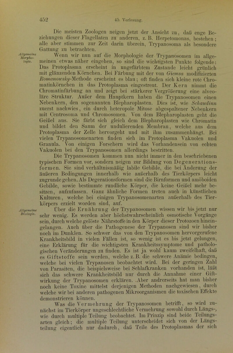 Allgemeine Morpho- logie. Allgemeine Biologie. Die meisten Zoologen neigen jetzt der Ansicht zu, daß enge Be- ziehungen dieser Flagellaten zu anderen, z. B. Herpetomonas, bestehen ; alle aber stimmen zur Zeit darin überein, Trypanosoma als besondere Gattung zu betrachten. Wenn wir nun auf die Morphologie der Trypanosomen im allge- meinen etwas näher eingehen, so sind die wichtigsten Punkte folgende: Das Protoplasma erscheint in ungefärbtem Zustande leicht grünlich mit glänzenden Körnchen. Bei Färbung mit der von Giemsa modifizierten Romanowsky-Methode erscheint es blau; oft linden sich kleine rote Chro- matinkörnchen in das Protoplasma eingestreut. Der Kern nimmt die Chromatinfärbung an und zeigt bei stärkerer Vergrößerung eine alveo- läre Struktur. Außer dem Hauptkern haben die Trypanosomen einen Nebenkern, den sogenannten Blepharoplasten. Dies ist, wie Scliaudinn zuerst nachwies, ein durch heteropole Mitose abgespaltener Nebenkern mit Centrosoma und Chromosomen. Von dem Blepharoplasten geht die Geißel aus. Sie färbt sich gleich dem Blepharoplasten wie Chromatin und bildet den Saum der undulierenden Membran, welche aus dem Protoplasma der Zelle hervorgeht und mit ihm zusammen hängt. Bei vielen Trypanosomenarten finden sich im Protoplasma Vakuolen und Granula. Von einigen Forschern wird das Vorhandensein von echten Vakuolen bei den Trypanosomen allerdings bestritten. Die Trypanosomen kommen nun nicht immer in den beschriebenen typischen Formen vor, sondern neigen zur Bildung von Degenerations- formen. Sie sind verhältnismäßig labile Gebilde, die bei Änderung der äußeren Bedingungen innerhalb wie außerhalb des Tierkörpers leicht zugrunde gehen. Als Degerationsformen sind die Birnformen und amöboiden Gebilde, sowie bestimmte rundliche Körper, die keine Geißel mehr be- sitzen, aufzufassen. Ganz ähnliche Formen treten auch in künstlichen Kulturen, welche bei einigen Trypanosomenarten außerhalb des Tier- körpers erzielt worden sind, auf. Über die Ernährung der Trypanosomen wissen wir bis jetzt nur sehr wenig. Es werden aber höchstwahrscheinlich osmotische Vorgänge sein, durch welche gelöste Nährstoffe in den Körper dieser Protozoen hinein- gelangen. Auch über die Pathogenese der Trypanosen sind wir bisher noch im Dunklen. So schwer das von den Trypanosomen hervorgerufene Krankheitsbild in vielen Fällen ist, so wenig ist es bis jetzt gelungen, eine Erklärung für die wichtigsten Krankheitssymptome und patholo- gischen Veränderungen zu finden. Es ist ja wohl kaum zweifelhaft, daß es Giftstoffe sein werden, welche z.B. die schwere Anämie bedingen, welche bei vielen Trypanosen beobachtet wird. Bei der geringen Zahl von Parasiten, die beispielsweise bei Schlafkranken vorhanden ist, läßt sich das schwere Krankheitsbild nur durch die Annahme einer Gift- wirkung der Trypanosomen erklären. .Aber andrerseits hat man bisher noch keine Toxine mittelst derjenigen Methoden nachgewiesen, durch welche wir bei anderen pathogenen Mikroorganismen die toxischen Effekte demonstrieren können. Was die Vermehrung der Trypanosomen betrifft, so wird zu- nächst im Tierkörper ungeschlechtliche Vermehrung sowohl durch Längs-, wie durch multiple Teilung beobachtet. Im Prinzip sind beide Teilungs- arten gleich; die multiple Teilung unterscheidet sich von der Längs- teilung eigentlich nur dadurch, daß Teile des Protoplasmas der sich