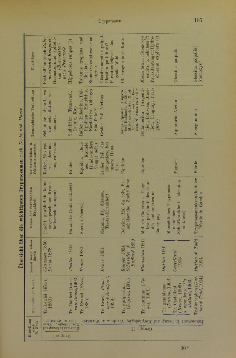 Übersicht über die wichtigsten Trypanosomen nach Nocht und Mayer. X 60 a a X3 ft O M N a © © ■§ §. .r! co 11 1 g a n * © e£ Q Sh X O J4 > a . c3 Sh •_ -§w a 3 6 -Ci ^ ö £ ^ &*3 2 ^ a k <5J ©ä fl © ^ pfl © 5 °5 qft •*£ fl ^ -8 2 +j st Ph^ ^ rH . ew 73 ~ fl S .2 § pH © P Cft fl ft fl © cn o P o 1§ 5 « fl © £ ft -ft fl © ,fl P ■ Sog © *i-H © ■—i rH © m fl 73 fl c s ft ft 0 § g s ^3 © ftH ^ Hfl fl I §' i ?**a & H s s © fl •pH © 2 g 1c ^ ir fl © 60 fl Ö o © ^ c a ©ft © &ß Qh w w *H © © ** 60■ “ Jft 73 .Th © © © fl Ci pfl Hfl fl fl fl © fl fl fl ft fl Eh ha fl fl C/3 fl fl fl © M C X O 2 • o -ft m cs -;■ Ui fl ha T* © fl #P .. .*s 2 © ^ 73 za -c 2 S Ja r _a B +; ca ’w *w 2 £ Ui Ui ^ tr O O p 0^ O 3 Ä 73 , >iCls 0 0- Hfl O Hft pfl O ui B ° -SS Jr-i ft W fl .. © ft CK •§ ft -fl © p fl •• fl 60 fl Hfl fl :© © fl © 60 fl pP fl fl ft P H ft 1 § .-§ 1 73 O ci ^ £ fl fl pfl © 55 0 ft O pfl fl p> Ph fl P fl fl O fl fl •A * rfl fl ft fl 60 .2 ft -5 Ö :fl fl s— fl « fl ■ ■fl M P C fl ^ fl 'fl ^ fl HH ® 'tS <£ fl fl '♦r -•i Hfl ft C 2-ua d ft © P O rfl jo '<£ a £; co CK £ © c fl © Eh © =2 p 5 » o I I C»-. g J t '3 -2 % .2 o Ph -S P io  .2 a . S S a § ’S' 5 -S § •g g -3 ® 6 äa|Ml ''PS“i2Z 5 s g S CO ^ *<? co a W ft £ fl fl fl |c« ^ H, n b — © fl ‘fl © .£ 60 fl fl fti o ft •Cpqp^ © ^ ^ S fl © g* fl .2 © fl Hfl fl *ft3 60 rn fl ft3 fl fl^ :<1 > c PS - © © M - © rS ft Hfl . G fl fl fl © ft © Hfl PH 2 K r-H © ~2 60 fl fl ft O M :3 aK® H y. r2 ® . Tia tn fl © fl •H © © HH ^ 'S £ H60®© ® 3 »3 H C2 .-j p- © ft ^ C5 ft © Hfl ft © fl r2 ft © © A © o #© ’S 13 o © © Eh fl ft 3 CQ 52 •- © 2 ^3 p“p fl Pft ^7 © - 73 fl ft A © fl Ul 60 H I © © fl « * 8 g fl S3 Hfl __ ©~ P 2 ^ 3 •r rfl © ö 60 b fl rvi S * g © w Üi Hfl tn-S-g | g g 3 ft ^ © fl fl P Cß 60 © © © O © Hfl © O ^ <ß 2» o p ^ 3 p © ft ^,—s pfl © fl 73 ü 3 rt * 2 2 ^ ® S ® a o 3 <u o CK 03 fl P PC'* 73 3 H •ft o 73 rH 73 fl 2^ O co ft © 2 £ fl 60 © C © c/2 © Hfl ft ftn P © Hfl ft g 2 M rS ft © 2 .3 o 52 © §2 fl _© & o lO 00 GO I> 00 ö . . cc S2.S -pw ö S o o o X X co ö £} C7> X 05 05 ^ 2 05 ^ GO ^ ^3 •rH ^ 5^ ^ .0 H- ik, <4i ii ff 5 o ft5 CQ O 05 Co Co ö Bäl o oa S a S2 «5 o S CJ •a a -=* 3 o 33 ca S C- te o ■J O 03 00 h3 co 4> rM a O Ö 03 h n -—- <*1 .-, o M § •s^ ui fl —V 5 to 00 W x . ^H ft E^ •rH 20 © ^ 3 ^ 3^ p S § . a h - o fl 05 2T^ © p ^ ’g.^ ® 0^ ft ^ Eh .5 : *3 Co <*> GM O © 05 S ^ „ © csT Jfl 2 S £ - fl 5S PH CO '—^05 fl O © 1-H fl 05 Cß _ |'§ Hfl Ö © fl o fl ' 60 • 3 «c p i? o ft x © S *ö ^ § bo - - « iik I “o; w j9Hs?.itjvy -n zuat j9i;s^.tiav ’n zaa^njt;^ ‘aiSo[oqcI.ioiff inu Snzaq nt lunisuoqnT -TUij\ ‘ oiSoioqdaoiM ' '. i '■ '. v '. - jnuanzoqui jumsuos jj gddlUQ j addn.10 30J