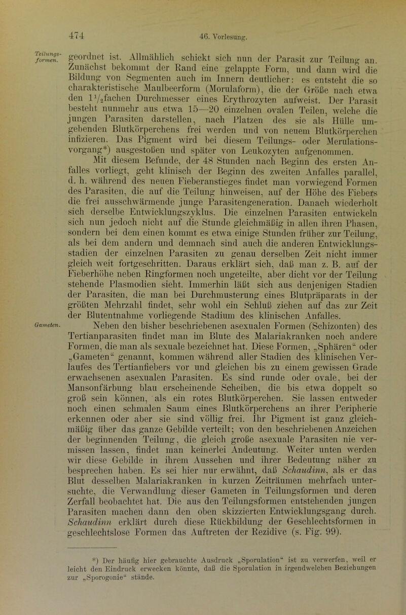 Teilungs- formen. Gameten. geordnet ist. Allmählich schickt sich nun der Parasit zur Teilung an. Zunächst bekommt der Rand eine gelappte Form, und dann wird die Bildung von Segmenten auch im Innern deutlicher: es entsteht die so charakteristische Maulbeerform (Morulaform), die der Größe nach etwa den P/afachen Durchmesser eines Erythrozyten aufweist. Der Parasit besteht nunmehr aus etwa 15—20 einzelnen ovalen Teilen, welche die jungen Parasiten darstellen, nach Platzen des sie als Hülle um- gebenden Blutkörperchens frei werden und von neuem Blutkörperchen infizieren. Das Pigment wird bei diesem Teilungs- oder Merulations- vorgang*) ausgestoßen und später von Leukozyten aufgenommen. Mit diesem Befunde, der 48 Stunden nach Beginn des ersten An- talles vorliegt, geht klinisch der Beginn des zweiten Anfalles parallel, d. h. während des neuen Fieberanstieges findet man vorwiegend Formen des Parasiten, die auf die Teilung hinweisen, auf der Höhe des Fiebers die frei ausschwärmende junge Parasitengeneration. Danach wiederholt sich derselbe Entwicklungszyklus. Die einzelnen Parasiten entwickeln sich nun jedoch nicht auf die Stunde gleichmäßig in allen ihren Phasen, sondern bei dem einen kommt es etwa einige Stunden früher zur Teilung, als bei dem andern und demnach sind auch die anderen Entwicklungs- stadien der einzelnen Parasiten zu genau derselben Zeit nicht immer gleich weit fortgeschritten. Daraus erklärt sich, daß man z. B. auf der Fieberhöhe neben Ringformen noch ungeteilte, aber dicht vor der Teilung stehende Plasmodien sieht. Immerhin läßt sich aus denjenigen Stadien der Parasiten, die man bei Durchmusterung eines Blutpräparats in der größten Mehrzahl findet, sehr wohl ein Schluß ziehen auf das zur Zeit der Blutentnahme vorliegende Stadium des klinischen Anfalles. Neben den bisher beschriebenen asexualen Formen (Schizonten) des Tertianparasiten findet man im Blute des Malariakranken noch andere Formen, die man als sexuale bezeichnet hat. Diese Formen, „Sphären“ oder „Gameten“ genannt, kommen während aller Stadien des klinischen Ver- laufes des Tertianfiebers vor und gleichen bis zu einem gewissen Grade erwachsenen asexualen Parasiten. Es sind runde oder ovale, bei der Mansonfärbung blau erscheinende Scheiben, die bis etwa doppelt so groß sein können, als ein rotes Blutkörperchen. Sie lassen entweder noch einen schmalen Saum eines Blutkörperchens an ihrer Peripherie erkennen oder aber sie sind völlig frei. Ihr Pigment ist ganz gleich- mäßig über das ganze Gebilde verteilt; von den beschriebenen Anzeichen der beginnenden Teilung, die gleich große asexuale Parasiten nie ver- missen lassen, findet man keinerlei Andeutung. Weiter unten werden wir diese Gebilde in ihrem Aussehen und ihrer Bedeutung näher zu besprechen haben. Es sei hier nur erwähnt, daß Schaudinn, als er das Blut desselben Malariakranken in kurzen Zeiträumen mehrfach unter- suchte, die Verwandlung dieser Gameten in Teilungsformen und deren Zerfall beobachtet hat. Die aus den Teilungsformen entstehenden jungen Parasiten machen dann den oben skizzierten Entwicklungsgang durch. Schaudinn erklärt durch diese Rückbildung der Geschlechtsformen in geschlechtslose Formen das Auftreten der Rezidive (s. Fig. 99). *) Der häufig hier gebrauchte Ausdruck „Sporulation“ ist zu verwerfen, weil er leicht den Eindruck erwecken könnte, daß die Sporulation in irgendwelchen Beziehungen zur „Sporogonie“ stände.