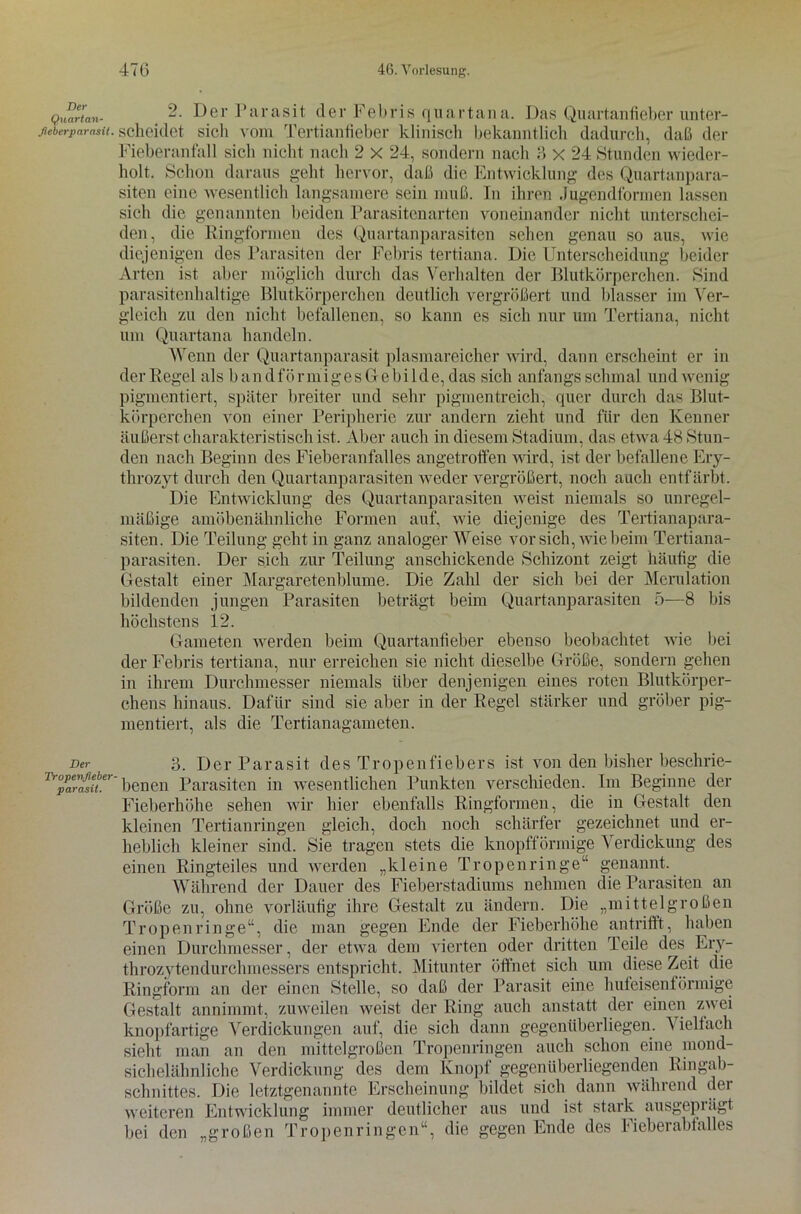 Der Quartan- fieberparasit. Der Tropenfieber parasit. 2. Der Parasit der Febris quartana. Das Quartanfieber unter- scheidet sich vom Tertianfieber klinisch bekanntlich dadurch, daß der Fieberanfall sich nicht nach 2 x 24, sondern nach 3 x 24 Stunden wieder- holt. Schon daraus geht hervor, daß die Entwicklung des Quartanpara- siten eine wesentlich langsamere sein muß. In ihren Jugendformen lassen sich die genannten beiden Parasitenarten voneinander nicht unterschei- den, die Ringformen des Quartanparasiten sehen genau so aus, wie diejenigen des Parasiten der Febris tertiana. Die Unterscheidung beider Arten ist aber möglich durch das Verhalten der Blutkörperchen. Sind parasitenhaltige Blutkörperchen deutlich vergrößert und blasser im Ver- gleich zu den nicht befallenen, so kann es sich nur um Tertiana, nicht um Quartana handeln. Wenn der Quartanparasit plasmareicher wird, dann erscheint er in der Regel als bandförmigesGebilde, das sich anfangs schmal und wenig pigmentiert, später breiter und sehr pigmentreich, quer durch das Blut- körperchen von einer Peripherie zur andern zieht und für den Kenner äußerst charakteristisch ist. Aber auch in diesem Stadium, das etwa 48 Stun- den nach Beginn des Fieberanfalles angetroffen wird, ist der befallene Ery- throzyt durch den Quartanparasiten weder vergrößert, noch auch entfärbt. Die Entwicklung des Quartanparasiten weist niemals so unregel- mäßige amöbenähnliche Formen auf, wie diejenige des Tertianapara- siten. Die Teilung geht in ganz analoger Weise vor sich, wie beim Tertiana- parasiten. Der sich zur Teilung anschickende Schizont zeigt häufig die Gestalt einer Margaretenblume. Die Zahl der sich bei der Merulation bildenden jungen Parasiten beträgt beim Quartanparasiten 5—8 bis höchstens 12. Gameten werden beim Quartanfieber ebenso beobachtet wie bei der Febris tertiana, nur erreichen sie nicht dieselbe Größe, sondern gehen in ihrem Durchmesser niemals über denjenigen eines roten Blutkörper- chens hinaus. Dafür sind sie aber in der Regel stärker und gröber pig- mentiert, als die Tertianagameten. 3. Der Parasit des Tropenfiebers ist von den bisher beschrie- benen Parasiten in wesentlichen Punkten verschieden. Im Beginne der Fieberhöhe sehen wir hier ebenfalls Ringformen, die in Gestalt den kleinen Tertianringen gleich, doch noch schärfer gezeichnet und er- heblich kleiner sind. Sie tragen stets die knopfförmige Verdickung des einen Ringteiles und werden „kleine Tropenringe“ genannt. Während der Dauer des Fieberstadiums nehmen die Parasiten an Größe zu, ohne vorläufig ihre Gestalt zu ändern. Die „mittelgroßen Tropen rin ge“, die man gegen Ende der Fieberhöhe antrifft, haben einen Durchmesser, der etwa dem vierten oder dritten Teile des Ery- throzytendurchmessers entspricht. Mitunter öffnet sich um diese Zeit die Ringform an der einen Stelle, so daß der Parasit eine hufeisenförmige Gestalt annimmt, zuweilen weist der Ring auch anstatt der einen zwei knopfartige Verdickungen auf, die sich dann gegenüberliegen. \ i eit ach sieht man an den mittelgroßen Tropenringen auch schon eine mond- sichelähnliche Verdickung des dem Knopf gegenüberliegenden Ringab- schnittes. Die letztgenannte Erscheinung bildet sich dann während der weiteren Entwicklung immer deutlicher aus und ist stark ausgepi«igt bei den „großen Tropen rin gen“, die gegen Ende des Fieberabtalles