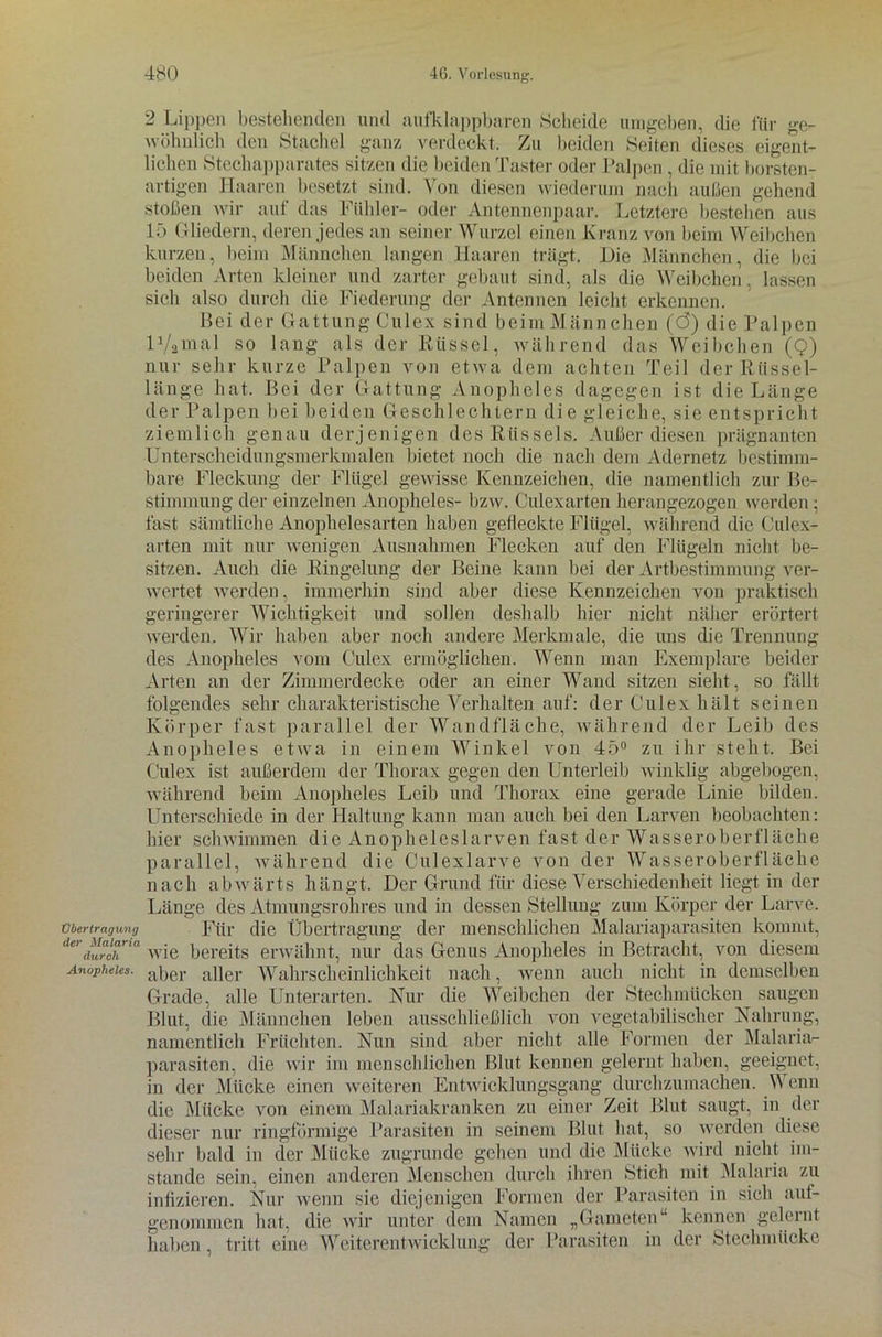 Übertragung der Malaria durch Anopheles. - Lippen bestehenden und aufklappbaren Scheide umgeben, die für ge- wöhnlich den Stachel ganz verdeckt. Zu beiden Seiten dieses eigent- lichen Stechapparates sitzen die beiden Taster oder Palpen, die mit borsten- artigen Haaren besetzt sind. Von diesen wiederum nach außen gehend stoßen wir auf das Fühler- oder Antennenpaar. Letztere bestehen aus 15 Gliedern, deren jedes an seiner Wurzel einen Kranz von beim Weibchen kurzen, beim Männchen langen Haaren trägt. Die Männchen, die bei beiden Arten kleiner und zarter gebaut sind, als die Weibchen, lassen sich also durch die Fiederung der Antennen leicht erkennen. Bei der Gattung Culex sind beim Männchen (Ö) die Palpen 11/2ma 1 so lang als der Rüssel, während das Weibchen (9) nur sehr kurze Palpen von etwa dem achten Teil der Riissel- länge hat. Bei der Gattung Anopheles dagegen ist die Länge der Palpen bei beiden Geschlechtern die gleiche, sie entspricht ziemlich genau derjenigen des Rüssels. Außer diesen prägnanten Unterscheidungsmerkmalen bietet noch die nach dem Adernetz bestimm- bare Fleckung der Flügel gewisse Kennzeichen, die namentlich zur Be- stimmung der einzelnen Anopheles- bzw. Culexarten herangezogen werden • fast sämtliche Anophelesarten haben gefleckte Flügel, während die Culex- arten mit nur wenigen Ausnahmen Flecken auf den Flügeln nicht be- sitzen. Auch die Ringelung der Beine kann bei der Artbestimmung ver- wertet werden, immerhin sind aber diese Kennzeichen von praktisch geringerer Wichtigkeit und sollen deshalb hier nicht näher erörtert werden. Wir haben aber noch andere Merkmale, die uns die Trennung des Anopheles vom Culex ermöglichen. Wenn man Exemplare beider Arten an der Zimmerdecke oder an einer Wand sitzen sieht, so fällt folgendes sehr charakteristische Verhalten auf: der Culex hält seinen Körper fast parallel der Wandfläche, während der Leib des Anopheles etwa in einem Winkel von 45° zu ihr steht. Bei Culex ist außerdem der Thorax gegen den Unterleib winklig abgebogen, während beim Anopheles Leib und Thorax eine gerade Linie bilden. Unterschiede in der Haltung kann man auch bei den Larven beobachten: hier schwimmen die Anopheleslarven fast der Wasseroberfläche parallel, während die Culexlarve von der Wasseroberfläche nach abwärts hängt. Der Grund für diese Verschiedenheit liegt in der Länge des Atmungsrohres und in dessen Stellung zum Körper der Larve. Für die Übertragung der menschlichen Malariaparasiten kommt, wie bereits erwähnt, nur das Genus Anopheles in Betracht, von diesem aber aller Wahrscheinlichkeit nach, wenn auch nicht in demselben Grade, alle Unterarten. Nur die Weibchen der Stechmücken saugen Blut, die Männchen leben ausschließlich von vegetabilischer Nahrung, namentlich Früchten. Nun sind aber nicht alle Formen der Malaria- parasiten, die wir im menschlichen Blut kennen gelernt haben, geeignet, in der Mücke einen weiteren Entwicklungsgang durchzumachen. Wenn die Mücke von einem Malariakranken zu einer Zeit Blut saugt, in der dieser nur ringförmige Parasiten in seinem Blut hat, so werden diese sehr bald in der Mücke zugrunde gehen und die Mücke wird nicht im- stande sein, einen anderen Menschen durch ihren Stich mit Malaria zu infizieren. Nur wenn sie diejenigen Formen der Parasiten in sich auf- genommen hat, die wir unter dem Namen „Gameten“ kennen gelernt haben, tritt eine Weiterentwicklung der Parasiten in der Stechmücke