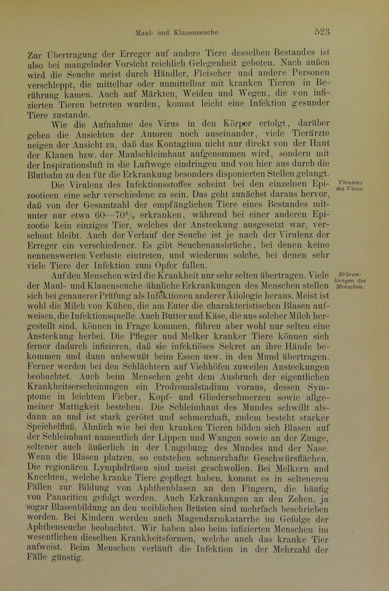 Zur Übertragung der Erreger auf andere Tiere desselben Bestandes ist also bei mangelnder Vorsicht reichlich Gelegenheit geboten. Nach außen wird die Seuche meist durch Händler, Fleischer und andere Personen verschleppt, die mittelbar oder unmittelbar mit kranken Tieren in Be- rührung kamen. Auch auf Märkten, Weiden und Wegen, die von infi- zierten Tieren betreten wurden, kommt leicht eine Infektion gesunder Tiere zustande. Wie die Aufnahme des Virus in den Körper erfolgt, darüber gehen die Ansichten der Autoren noch auseinander, viele Tierärzte neigen der Ansicht zu, daß das Kontagium nicht nur direkt von der Haut der Klauen bzw. der Maulschleimhaut aufgenommen wird, sondern mit der Inspirationsluft in die Luftwege eindringen und von hier aus durch die Blutbahn zu den für die Erkrankung besonders disponierten Stellen gelangt. Die Virulenz des Infektionsstoffes scheint bei den einzelnen Epi- zootieen eine sehr verschiedene zu sein. Das geht zunächst daraus hervor, daß von der Gesamtzahl der empfänglichen Tiere eines Bestandes mit- unter nur etwa 60—70% erkranken, während bei einer anderen Epi- zootie kein einziges Tier, welches der Ansteckung ausgesetzt war, ver- schont bleibt. Auch der Verlauf der Seuche ist je nach der Virulenz der Erreger ein verschiedener. Es gibt Seuchenausbrüche, bei denen keine nennenswerten Verluste eintreten, und wiederum solche, bei denen sehr viele Tiere der Infektion zum Opfer fallen. Auf den Menschen wird die Krankheit nur sehr selten übertragen. Viele der Maul- und Klauenseuche ähnliche Erkrankungen des Menschen stellen sich bei genauerer Prüfung als Infektionen anderer Ätiologie heraus. Meist ist wohl die Milch von Kühen, die am Euter die charakteristischen Blasen auf- weisen, die Infektionsquelle. Auch Butter und Käse, die aus solcher Milch her- gestellt sind, können in Frage kommen, führen aber wohl nur selten eine Ansteckung herbei. Die Pfleger und Melker kranker Tiere können sich ferner dadurch infizieren, daß sie infektiöses Sekret an ihre Hände be- kommen und dann unbewußt beim Essen usw. in den Mund übertragen. Ferner werden bei den Schlächtern auf Viehhöfen zuweilen Ansteckungen beobachtet. Auch beim Menschen geht dem Ausbruch der eigentlichen Krankheitserscheinungen ein Prodromalstadium voraus, dessen Sym- ptome in leichtem Fieber, Kopf- und Gliederschmerzen sowie allge- meiner Mattigkeit bestehen. Die Schleimhaut des Mundes schwillt als- dann an und ist stark gerötet und schmerzhaft, zudem besteht starker Speichelfluß. Ähnlich wie bei den kranken Tieren bilden sich Blasen auf der Schleimhaut namentlich der Lippen und Wangen sowie an der Zunge, seltener auch äußerlich in der Umgebung des Mundes und der Nase. Wenn die Blasen platzen, so entstehen schmerzhafte Geschwürsflächen. Die regionären Lymphdriisen sind meist geschwollen. Bei Melkern und Knechten, welche kranke Tiere gepflegt haben, kommt es in selteneren Fällen zur Bildung von Aphthen blasen an den Fingern, die häufig von Panaritien gefolgt werden. Auch Erkrankungen an den Zehen, ja sogar Blasenbildung an den weiblichen Brüsten sind mehrfach beschrieben worden. Bei Kindern werden auch Magendarmkatarrhe im Gefolge der Aphthenseuche beobachtet. Wir haben also beim infizierten Menschen im wesentlichen dieselben Krankheitsformen, welche auch das kranke Tier aufweist. Beim Menschen verläuft die Infektion in der Mehrzahl der Fälle günstig. Virulenz des Virus. Erkran- kungen des Menschen.