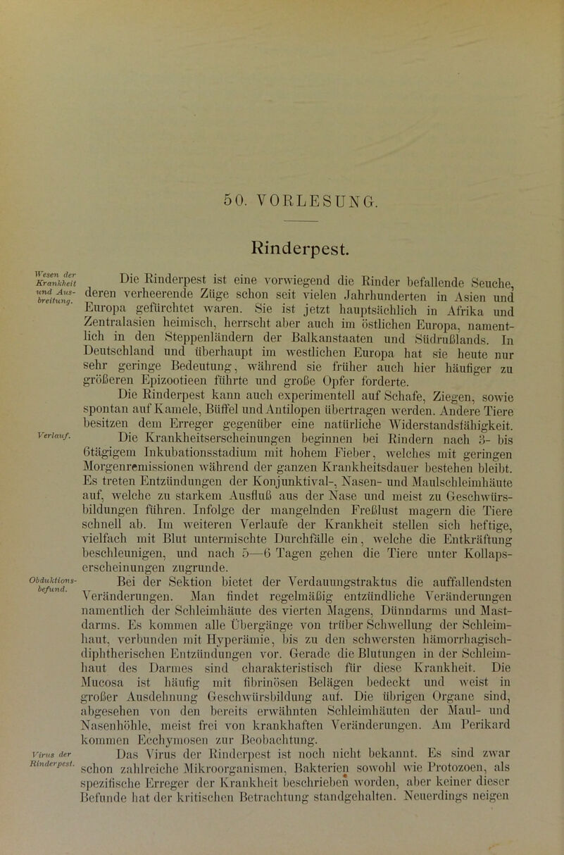Wesen der Krankheit und Aus- breitung. Verlauf. Obduktions- befund. Virus der Rinderpest. Rinderpest. Die Rinderpest ist eine vorwiegend die Rinder befallende Seuche, deren verheerende Züge schon seit vielen Jahrhunderten in Asien und Europa gefürchtet waren. Sie ist jetzt hauptsächlich in Afrika und Zentralasien heimisch, herrscht aber auch im östlichen Europa, nament- lich in den Steppen ländern der Balkanstaaten und Südrußlands. In Deutschland und überhaupt im westlichen Europa hat sie heute nur sehr geringe Bedeutung, während sie früher auch hier häufiger zu größeren Epizootieen führte und große Opfer forderte. Die Rinderpest kann auch experimentell auf Schafe, Ziegen, sowie spontan auf Kamele, Büffel und Antilopen übertragen werden. Andere Tiere besitzen dem Erreger gegenüber eine natürliche Widerstandsfähigkeit. Die Krankheitserscheinungen beginnen bei Rindern nach 3- bis ßtägigem Inkubationsstadium mit hohem Eieber, welches mit geringen Morgenremissionen während der ganzen Krankheitsdauer bestehen bleibt. Es treten Entzündungen der Konjunktival-, Nasen- und Maulschleimhäute auf, welche zu starkem Ausfluß aus der Nase und meist zu Geschwürs- bildungen führen. Infolge der mangelnden Freßlust magern die Tiere schnell ab. Im weiteren Verlaufe der Krankheit stellen sich heftige, vielfach mit Blut untermischte Durchfälle ein, welche die Entkräftung beschleunigen, und nach 5—6 Tagen gehen die Tiere unter Kollaps- e r sch ei n u ngen zu gründ e. Bei der Sektion bietet der Verdauungstraktus die auffallendsten Veränderungen. Man findet regelmäßig entzündliche Veränderungen namentlich der Schleimhäute des vierten Magens, Dünndarms und Mast- darms. Es kommen alle Übergänge von trüber Schwellung der Schleim- haut, verbunden mit Hyperämie, bis zu den schwersten hämorrhagisch- diphtherischen Entzündungen vor. Gerade die Blutungen in der Schleim- haut des Darmes sind charakteristisch für diese Krankheit. Die Mucosa ist häufig mit fibrinösen Belägen bedeckt und weist in großer Ausdehnung Geschwürsbildung auf. Die übrigen Organe sind, abgesehen von den bereits erwähnten Schleimhäuten der Maul- und Nasenhöhle, meist frei von krankhaften Veränderungen. Am Perikard kommen Ecchymosen zur Beobachtung. Das Virus der Rinderpest ist noch nicht bekannt. Es sind zwar schon zahlreiche Mikroorganismen, Bakterien sowohl wie Protozoen, als spezifische Erreger der Krankheit beschrieben worden, aber keiner dieser Befunde hat der kritischen Betrachtung standgehalten. Neuerdings neigen