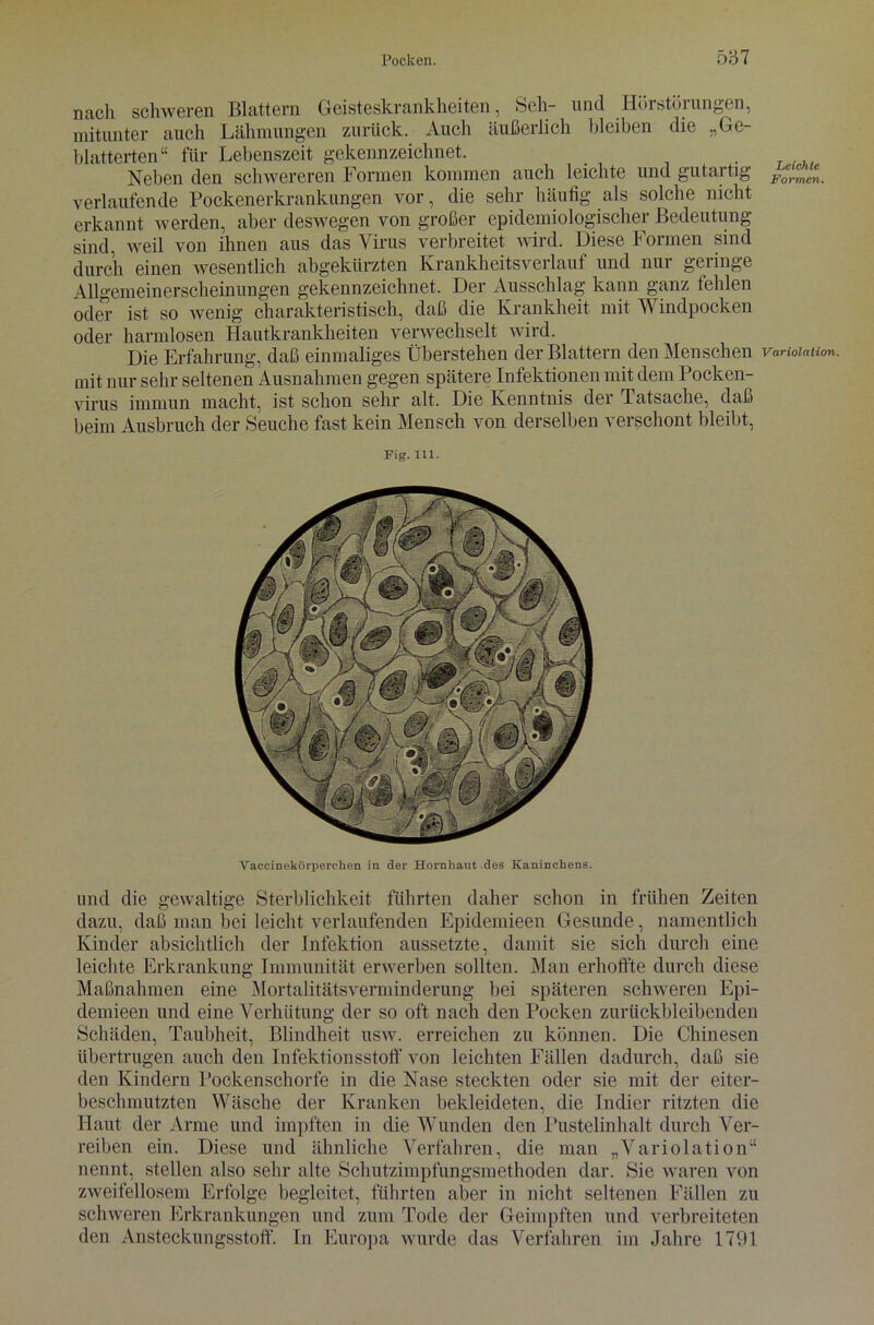 nach schweren Blattern Geisteskrankheiten, Seh- und Hörstörungen, mitunter auch Lähmungen zurück. Auch äußerlich bleiben die „Ge- blätterten“ für Lebenszeit gekennzeichnet. . Neben den schwereren Formen kommen auch leichte und gutartig ^rcmen_ verlaufende Pockenerkrankungen vor, die sehr häufig als solche nicht erkannt werden, aber deswegen von großer epidemiologischer Bedeutung sind, weil von ihnen aus das Virus verbreitet wird. Diese Formen sind durch einen wesentlich abgekürzten Krankheitsverlauf und nur geringe Allgemeinerscheinungen gekennzeichnet. Der Ausschlag kann ganz tehlen oder ist so wenig charakteristisch, daß die Krankheit mit Windpocken oder harmlosen Hautkrankheiten verwechselt wird. Die Erfahrung, daß einmaliges Überstehen der Blattern den Menschen vanoiation. mit nur sehr seltenen Ausnahmen gegen spätere Infektionen mit dem Pocken- virus immun macht, ist schon sehr alt. Die Kenntnis der Tatsache, daß beim Ausbruch der Seuche fast kein Mensch von derselben verschont bleibt, Fig.111. Vaccinekörperchen in der Hornhaut des Kaninchens. und die gewaltige Sterblichkeit führten daher schon in frühen Zeiten dazu, daß man bei leicht verlaufenden Epidemieen Gesunde, namentlich Kinder absichtlich der Infektion aussetzte, damit sie sich durch eine leichte Erkrankung Immunität erwerben sollten. Man erhoffte durch diese Maßnahmen eine Mortalitätsverminderung bei späteren schweren Epi- demieen und eine Verhütung der so oft nach den Pocken zurückbleibenden Schäden, Taubheit, Blindheit usw. erreichen zu können. Die Chinesen übertrugen auch den Infektionsstoff von leichten Fällen dadurch, daß sie den Kindern Pockenschorfe in die Nase steckten oder sie mit der eiter- beschmutzten Wäsche der Kranken bekleideten, die Indier ritzten die Haut der Arme und impften in die Wunden den Pustelinhalt durch Ver- reiben ein. Diese und ähnliche Verfahren, die man „Variolation“ nennt, stellen also sehr alte Schutzimpfungsmethoden dar. Sie waren von zweifellosem Erfolge begleitet, führten aber in nicht seltenen Fällen zu schweren Erkrankungen und zum Tode der Geimpften und verbreiteten den Ansteckungsstoff. In Europa wurde das Verfahren im Jahre 1791