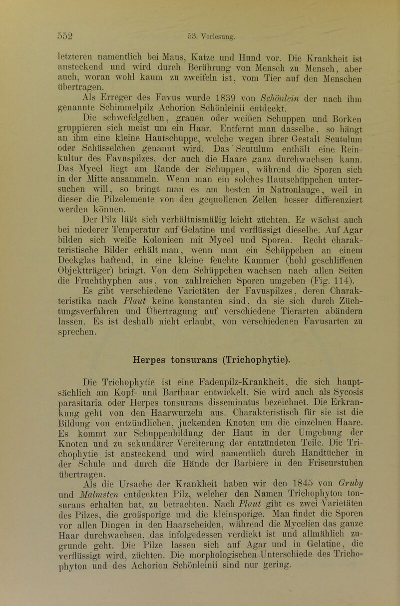 letzteren namentlich bei Maus, Katze und Hund vor. Die Krankheit ist ansteckend und wird durch Berührung von Mensch zu Mensch, aber auch, woran wohl kaum zu zweifeln ist, vom Tier auf den Menschen übertragen. Als Erreger des Favus wurde 1839 von Schönlein der nach ihm genannte Schimmelpilz Achorion Schönleinii entdeckt. Die schwefelgelben, grauen oder weißen Schuppen und Borken gruppieren sich meist um ein Haar. Entfernt man dasselbe, so hängt an ihm eine kleine Hautschuppe, welche wegen ihrer Gestalt Scutulum oder Schüsselchen genannt wird. Das' Scutulum enthält eine Rein- kultur des Favuspilzes, der auch die Haare ganz durchwachsen kann. Das Mycel liegt am Rande der Schuppen, während die Sporen sich in der Mitte ansammeln. Wenn man ein solches Hautschüppchen unter- suchen will, so bringt man es am besten in Natronlauge, weil in dieser die Pilzelemente von den gequollenen Zellen besser differenziert werden können. Der Pilz läßt sich verhältnismäßig leicht züchten. Er wächst auch bei niederer Temperatur auf Gelatine und verflüssigt dieselbe. Auf Agar bilden sich weiße Kolonieen mit Mycel und Sporen. Recht charak- teristische Bilder erhält man, wenn man ein Schüppchen an einem Deckglas haftend, in eine kleine feuchte Kammer (hohl geschliffenen Objektträger) bringt. Von dem Schüppchen wachsen nach allen Seiten die Fruchthyphen aus, von zahlreichen Sporen umgeben (Fig. 114). Es gibt verschiedene Varietäten der Favuspilzes, deren Charak- teristika nach Plaut keine konstanten sind, da sie sich durch Züch- tungsverfahren und Übertragung auf verschiedene Tierarten abändern lassen. Es ist deshalb nicht erlaubt, von verschiedenen Favusarten zu sprechen. Herpes tonsurans (Trichophytie). Die Trichophytie ist eine Fadenpilz-Krankheit, die sich haupt- sächlich am Kopf- und Barthaar entwickelt. Sie wird auch als Sycosis parasitaria oder Herpes tonsurans disseminatus bezeichnet. Die Erkran- kung geht von den Haarwurzeln aus. Charakteristisch für sie ist die Bildung von entzündlichen, juckenden Knoten um die einzelnen Haare. Es kommt zur Schuppenbildung der Haut in der Umgebung der Knoten und zu sekundärer Vereiterung der entzündeten Teile. Die Tri- chophytie ist ansteckend und wird namentlich durch Handtücher in der Schule und durch die Hände der Barbiere in den Friseurstuben übertragen. Als die Ursache der Krankheit haben wir den 1845 von Grubt/ und Malmsten entdeckten Pilz, welcher den Namen Trichophyton ton- surans erhalten hat, zu betrachten. Nach Plaut gibt es zwei Varietäten des Pilzes, die großsporige und die kleinsporige. Man findet die Sporen vor allen Dingen in den Haarscheiden, während die Mycelien das ganze Haar durchwachsen, das infolgedessen verdickt ist und allmählich zu- grunde geht. Die Pilze lassen sich auf Agar und in Gelatine, die verflüssigt wird, züchten. Die morphologischen Unterschiede des Tricho- phyton und des Achorion Schönleinii sind nur gering.