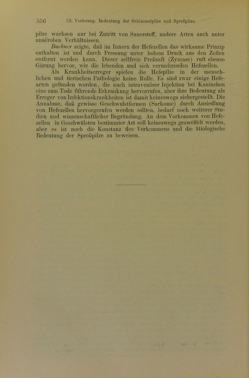 pilze wachsen nur bei Zutritt von Sauerstoff, andere Arten aucli unter anaeroben Verhältnissen. Büchner zeigte, daß im Innern der Hefezellen das wirksame Prinzip enthalten ist und durch Pressung unter hohem Druck aus den Zellen entfernt werden kann. Dieser zellfreie Preßsaft (Zymase) ruft ebenso Gärung hervor, wie die lebenden und sich vermehrenden Hefezellen. Als Krankheitserreger spielen die Hefepilze in der mensch- lichen und tierischen Pathologie keine Rolle. Es sind zwar einige Hefe- arten gefunden worden, die nach intravenöser Injektion bei Kaninchen eine zum Tode führende Erkrankung hervorrufen, aber ihre Bedeutung als Erreger von Infektionskrankheiten ist damit keineswegs sichergestellt. Die Annahme, daß gewisse Geschwulstformen (Sarkome) durch Ansiedlung von Hefezellen hervorgerufen werden sollten, bedarf noch weiterer Stu- dien und wissenschaftlicher Begründung. An dem Vorkommen von Ilefe- zellen in Geschwülsten bestimmter Art soll keineswegs gezweifelt werden, aber es ist noch die Konstanz des Vorkommens und die ätiologische Bedeutung der Sproßpilze zu beweisen. Ji