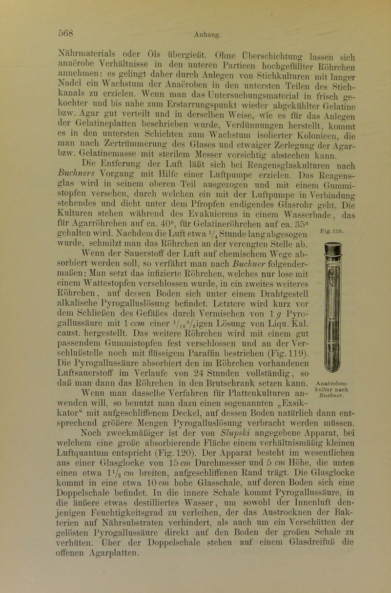 Fig. 119. !Ntiliiniaterials oder Öls übergießt. Ohne Überschichtung lassen sich an aerobe Verhältnisse in den unteren Partieen hochgefüllter Röhrchen annehmen: es gelingt daher durch Anlegen von Stichkulturen mit langer Nadel ein \Y achstum der Anaeroben in den untersten Teilen des Stich- kanals zu erzielen. Wenn man das Untcrsuchungsmatcrial in frisch ge- kochter und bis nahe zum Erstarrungspunkt wieder abgekühlter Gelatine bzw. Agar gut verteilt und in derselben Weise, wie es für das Anlegen der Gelatineplatten beschrieben wurde, Verdünnungen herstellt, kommt es in den untersten Schichten zum Wachstum isolierter Kolonieen, die man nach Zertrümmerung des Glases und etwaiger Zerlegung der Agar- bzw. Gelatinemasse mit sterilem Messer vorsichtig abstechen kann. Die Rntferung der Luft läßt sich bei Reagensglaskulturen nach Büchners Vorgang mit Hilfe einer Luftpumpe erzielen. Das Reagens- glas wird in seinem oberen Teil ausgezogen und mit einem Gummi- stopfen versehen, durch welchen ein mit der Luftpumpe in Verbindung stehendes und dicht unter dem Pfropfen endigendes Glasrohr geht. Die Kulturen stehen während des Evakuierens in einem Wasserbade, das für Agarröhrchen auf ca. 40°, für Gelatineröhrchen auf ca, 35° gehalten wird. Nachdem die Luft etwa 1/i Stunde lang abgesogen wurde, schmilzt man das Röhrchen an der verengten Stelle ab. Wenn der Sauerstoff der Luft auf chemischem Wege ab- sorbiert werden soll, so verfährt man nach Buchner folgender- maßen: Man setzt das infizierte Röhrchen, welches nur lose mit einem Wattestopfen verschlossen wurde, in ein zweites weiteres Röhrchen, auf dessen Boden sich unter einem Drahtgestell alkalische Pyrogalluslösung befindet. Letztere wird kurz vor dem Schließen des Gefäßes durch Vermischen von 1 g Pyro- gallussäure mit 1 ccm einer ^//„igen Lösung von Liqu.Kal. caust. hergestellt. Das weitere Röhrchen wird mit einem gut passendem Gummistopfen fest verschlossen und an der Ver- schlußstelle noch mit flüssigem Paraffin bestrichen (Fig. 119). Die Pyrogallussäure absorbiert den im Röhrchen vorhandenen Luftsauerstoff im Verlaufe von 24 Stunden vollständig, so daß man dann das Röhrchen in den Brutschrank setzen kann. Wenn man dasselbe Verfahren für Plattenkulturen an- wenden will, so benutzt man dazu einen sogenannten „Exsik- kator“ mit aufgeschliffenem Deckel, auf dessen Boden natürlich dann ent- sprechend größere Mengen Pyrogalluslösung verbracht werden müssen. Noch zweckmäßiger ist der von Slupski angegebene Apparat, bei welchem eine große absorbierende Fläche einem verhältnismäßig kleinen Luftquantum entspricht (Fig. 120). Der Apparat besteht im wesentlichen aus einer Glasglocke von 15 cm Durchmesser und 5 cm Höhe, die unten einen etwa lx/2 cm breiten, aufgeschliffenen Rand trägt. Die Glasglocke kommt in eine etwa 10 cm hohe Glasschale, auf deren Boden sich eine Doppelschale befindet. In die innere Schale kommt Pyrogallussäure, in die äußere etwas destilliertes Wasser, um sowohl der Innenluft den- jenigen Feuchtigkeitsgrad zu verleihen, der das Austrocknen der Bak- terien auf Nährsubstraten verhindert, als auch um ein Verschütten der gelösten Pyrogallussäure direkt auf den Boden der großen Schale zu verhüten. Über der Doppelschale stehen auf einem Glasdreifuß die offenen Agarplatten. Anaeroben- lcultur nach Büchner.