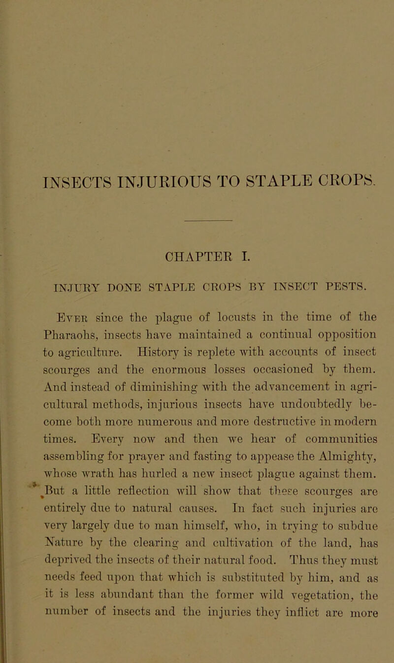 INSECTS INJURIOUS TO STAPLE CROPS. CHAPTER I. INJURY DONE STAPLE CROPS BY INSECT PESTS. Ever since the plague of locusts iu the time of the Pharaohs, insects have maintained a continual opposition to agriculture. History is replete with accounts of insect scourges and the enormous losses occasioned hy them. And instead of diminishing with the advancement in agri- cultural methods, injurious insects have undoubtedly be- come both more numerous and more destructive in modern times. Every now and then we hear of communities assembling for prayer and fasting to appease the Almighty, whose wrath has hurled a new insect plague against them. ^But a little reflection will show that these scourges are entirely due to natural causes. In fact such injuries are very largely due to man himself, who, in trying to subdue Nature by the clearing and cultivation of the land, has deprived the insects of their natural food. Thus they must needs feed upon that which is substituted by him, and as it is less abujidant than the former wild vegetation, the number of insects and the injuries they inflict are more