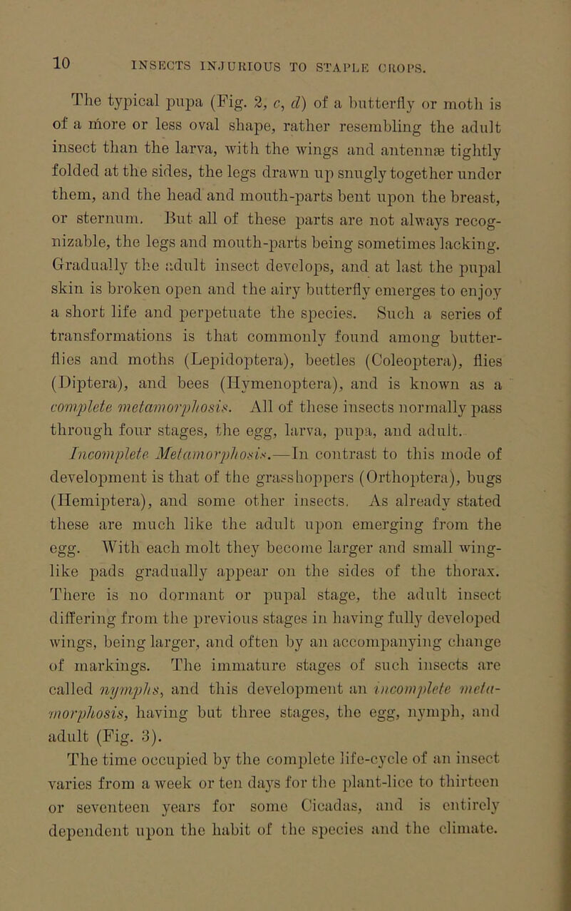 The typical pupa (Fig. 2, c, d) of a Initterfly or motli is of a ihore or less oval shajie, rather resembling the adult insect than the larva, with the wings and antenme tightly folded at the sides, the legs drawn up snugly together under them, and the head and mouth-parts bent upon the breast, or sternum. But all of these jiarts are not always recog- nizable, the legs and mouth-parts being sometimes lacking. Gradually the ;idult insect develops, and at last the pupal skin is broken open and the airy butterfly emerges to enjoy a short life and perpetuate the species. Such a series of transformations is that commonly found among butter- flies and moths (Lepidoptera), beetles (Coleoptera), flies (Diptera), and bees (Hymenoptera), and is known as a complete metamorphosis. All of these insects normally pass through four stages, the egg, larva, pupa, and adult. Incomplete Metamovphosi'<.—In contrast to this mode of development is that of tlie grasslioppers (Orthoptera), bugs (Hemiptera), and some other ijisects. As already stated these are much like the adult u])on emerging from the egg. With each molt they become larger and small wing- like pads gradually appear on the sides of the thorax, fl'here is no dormant or pupal stage, the adult insect differing from the previous stages in having fully developed wings, being larger, and often by an accompanying change of markings. The immature stages of such insects are called nymphs., and this development an incomplete meta- morphosis, having but three stages, the egg, nymph, and adult (Fig. 3). The time occupied by the complete life-cycle of an insect varies from a week or ten da}'^s for the plant-lice to thirteen or seventeen years for some Cicadas, and is entirely dependent upon the habit of the species and the climate.