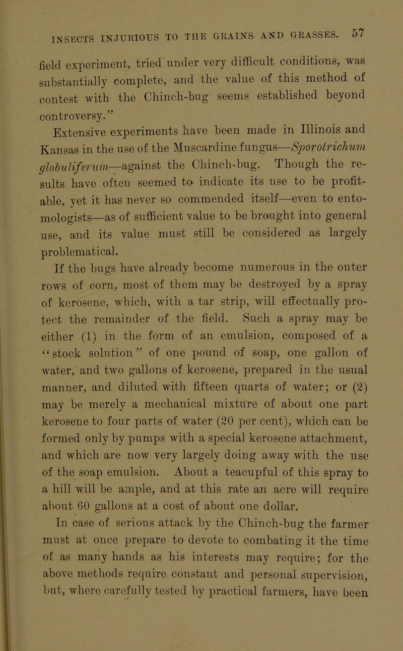 field experiment, tried under very difficult conditions, was substantially complete, and the value of this method of contest with the Chinch-bug seems established beyond controversy.” Extensive experiments have been made in Illinois and Kansas in the use of the Muscardine fungus—Sporotrichum glohiiUferwn—^g&m&t the Chinch-bug. Though the re- sults have often seemed to indicate its use to be profit- able, yet it has never so commended itself—even to ento- mologists—as of sufficient value to be brought into general use, and its value must still be considered as largely problematical. If the bugs have already become numerous in the outer rows of corn, most of them may be destroyed by a spray of kerosene, which, with a tar strip, will effectually pro- tect the remainder of the field. Such a spray may be either (1) in the form of an emulsion, composed of a “stock solution” of one pound of soap, one gallon of water, and two gallons of kerosene, prepared in the usual manner, and diluted with fifteen quarts of water; or (2) may be merely a mechanical mixture of about one part kerosene to four parts of water (20 per cent), which can be formed only by pumps with a special kerosene attachment, and which are now very largely doing away with the use of the soap emulsion. About a teacupful of this spray to a hill will be ample, and at this rate an acre will require about GO gallons at a cost of about one dollar. In case of serious attack by the Chinch-bug the farmer must at once prepare to devote to combating it the time of as many hands as his interests may require; for the above methods require constant and personal supervision, but, where carefully tested by practical farmers, have been