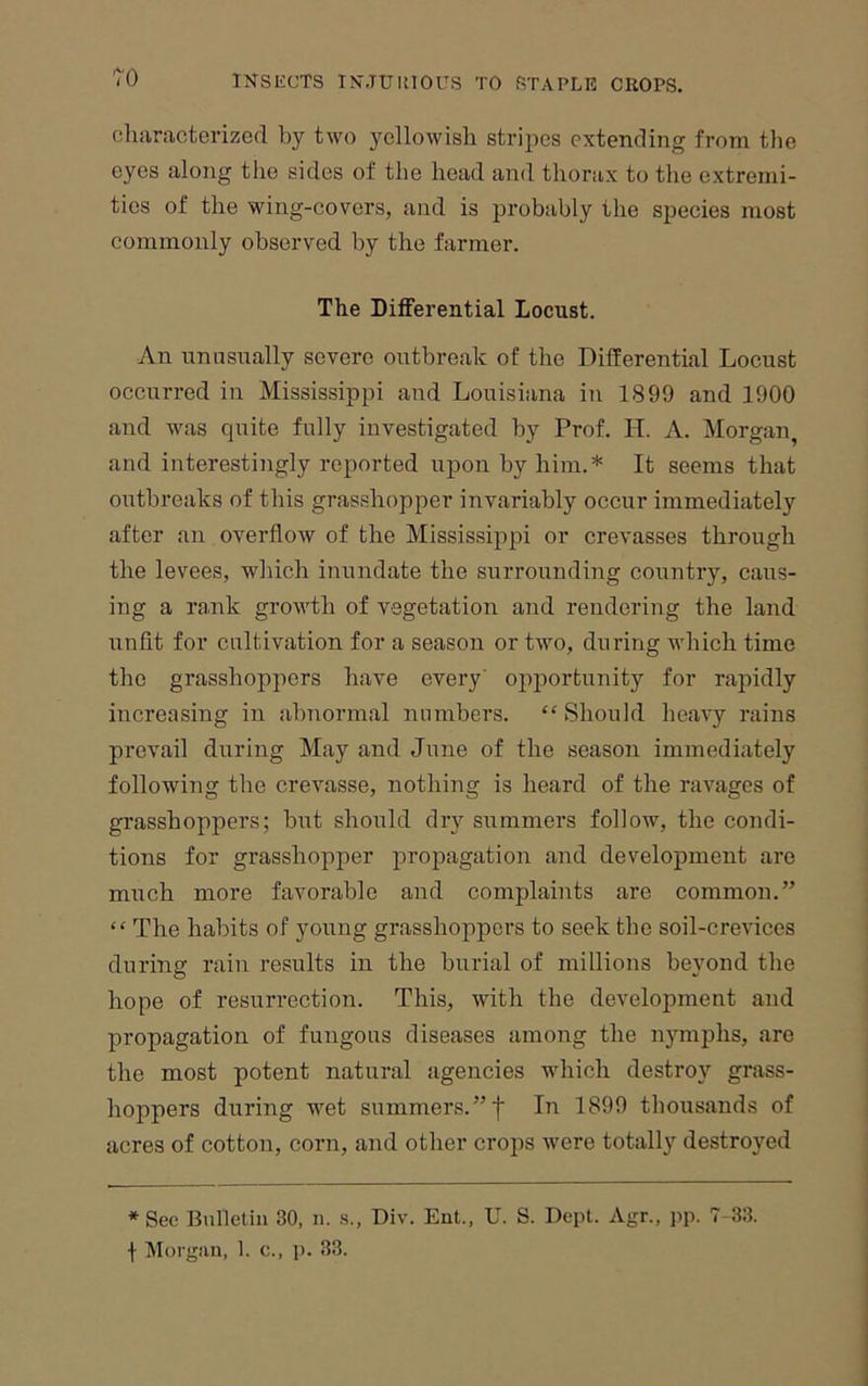 characterized by two yellowish stripes extending from the eyes along the sides of the head and thorax to the extremi- ties of the wing-covers, and is probably the species most commonly observed by the farmer. The Differential Locust. An nnnsnally severe outbreak of the Differential Locust occurred in Mississippi and Louisiana in 1899 and 1900 and wRas quite fully investigated by Prof. IT. A. Morgan, and interestingly reported upon by him.* It seems that outbreaks of this grasshopper invariably occur immediately after an overflow of the Mississippi or crevasses through the levees, which inundate the surrounding country, caus- ing a rank growth of vegetation and rendering the land unfit for cultivation for a season or two, during which time the grasshoppers have every’ opportunity for rapidly increasing in abnormal numbers. “Should heavy rains prevail during May and June of the season immediately following the crevasse, nothing is heard of the ravages of grasshoppers; but should dry summers follow, the condi- tions for grasshopper propagation and development are much more favorable and complaints are common.” “ The habits of young grasshoppers to seek the soil-crevices during rain results in the burial of millions beyond the hope of resurrection. This, with the development and propagation of fungous diseases among the n3’^mphs, are the most potent natural agencies which destroy grass- hoppers during wet summers.”f In 1899 thousands of acres of cotton, corn, and other crops were totally destroyed * Sec Bulletin 30, n. s., Div. Ent., U. S. Dept. Agr., jip. 7-33. f Morgan, 1. c., i>. 33.