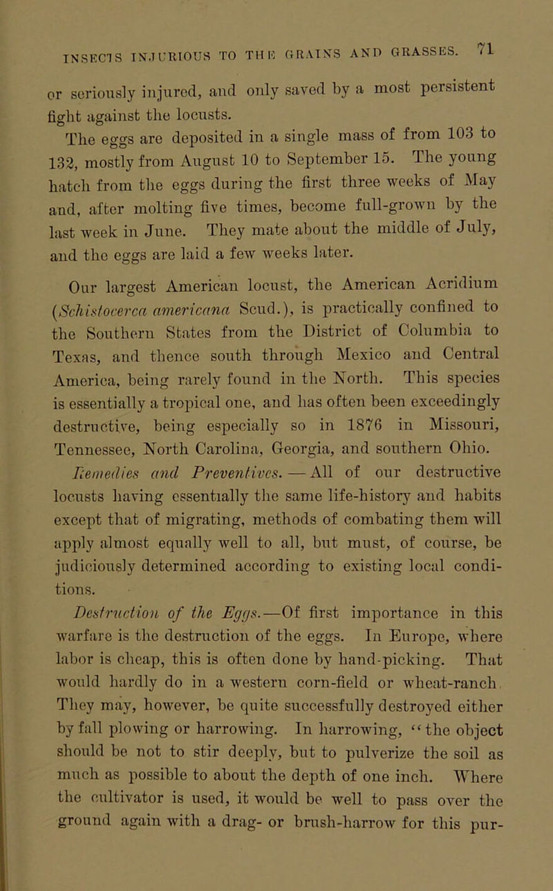 or scrioiisly injured, and only saved by a most persistent fight against the locusts. The eggs are deposited in a single mass of from 103 to 132, mostly from August 10 to September 15. The young hatch from the eggs during the first three weeks of May and, after molting five times, become full-grown by the last week in June. They mate about the middle of July, and the eggs are laid a few weeks later. Our largest American locust, the American Acridium [Schisfocerca nmericana Scud.), is practically confined to the Southern States from the District of Columbia to Texas, and thence south through Mexico and Central America, being rarely found in the North. This species is essentially a tropical one, and has often been exceedingly destructive, being especially so in 1876 in Missouri, Tennessee, North Carolina, Georgia, and southern Ohio. Uemedies and Preventives.—All of our destructive locusts having essentially the same life-history and habits except that of migrating, methods of combating them will apply almost equally well to all, but must, of course, be judiciously determined according to existing local condi- tions. Desiriiction of the Eggs.—Of first importance in this warfare is the destruction of the eggs. In Europe, where labor is cheap, this is often done by hand-picking. That would hardly do in a western corn-field or wheat-ranch They may, however, be quite successfully destroyed either by fall plowing or harrowing. In harrowing, “the object should be not to stir deeply, but to pulverize the soil as much as possible to about the depth of one inch. Where the cultivator is used, it would be well to pass over the ground again with a drag- or brush-harrow for this pur-