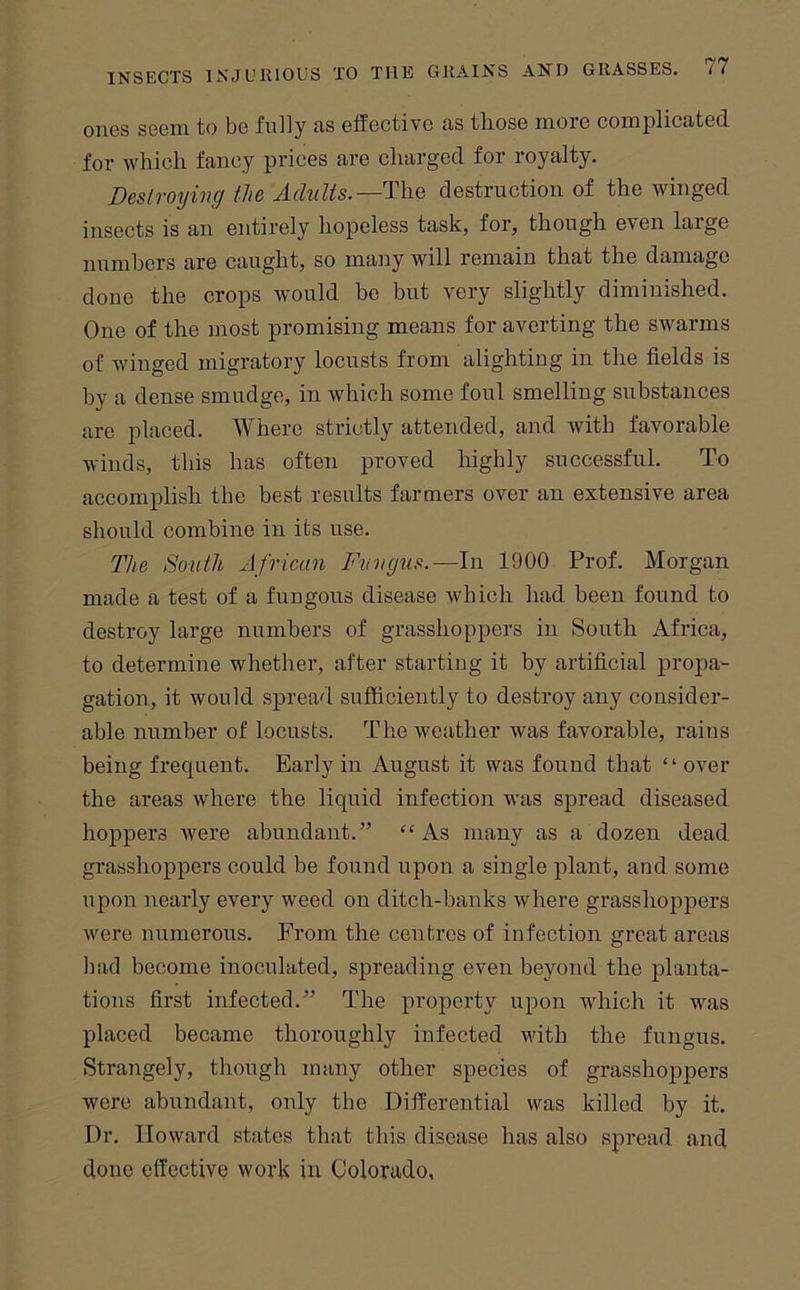ones seem to be fully as effective as those more complicated for which fancy prices are charged for royalty. DcslToyiiuj tli6 Adults.—The destruction of the winged insects is an entirely hopeless task, for, though even large numbers are caught, so many will remain that the damage done the crops would be but very slightly diminished. One of the inost promising means for averting the swarms of winged migratory locusts from alighting in the fields is by a dense smudge, in which some foul smelling substances are placed. Where strictly attended, and with favorable winds, this has often proved highly successful. To accomplish the best results farmers over an extensive area should combine in its use. The South African Fungus.—In 1900 Prof. Morgan made a test of a fungous disease which had been found to destroy large numbers of grasshoppers in South Africa, to determine whether, after starting it by artificial propa- gation, it would spread sufficiently to destroy any consider- able number of locusts. The weather was favorable, rains being frequent. Early in August it was found that “ over the areas where the liquid infection was spread diseased hoppers were abundant.” “As many as a dozen dead grasshoppers could be found upon a single plant, and some upon nearly every weed on ditch-banks where grasshoppers were numerous. From the centres of infection great areas had become inoculated, spreading even beyond the planta- tions first infeeted.” The property u|3on which it was placed became thoroughly infected with the fungus. Strangely, though many other species of grasshoppers were abundant, only the Differential was killed by it. Dr. Howard states that this disease has also spread and done effective work in Colorado,