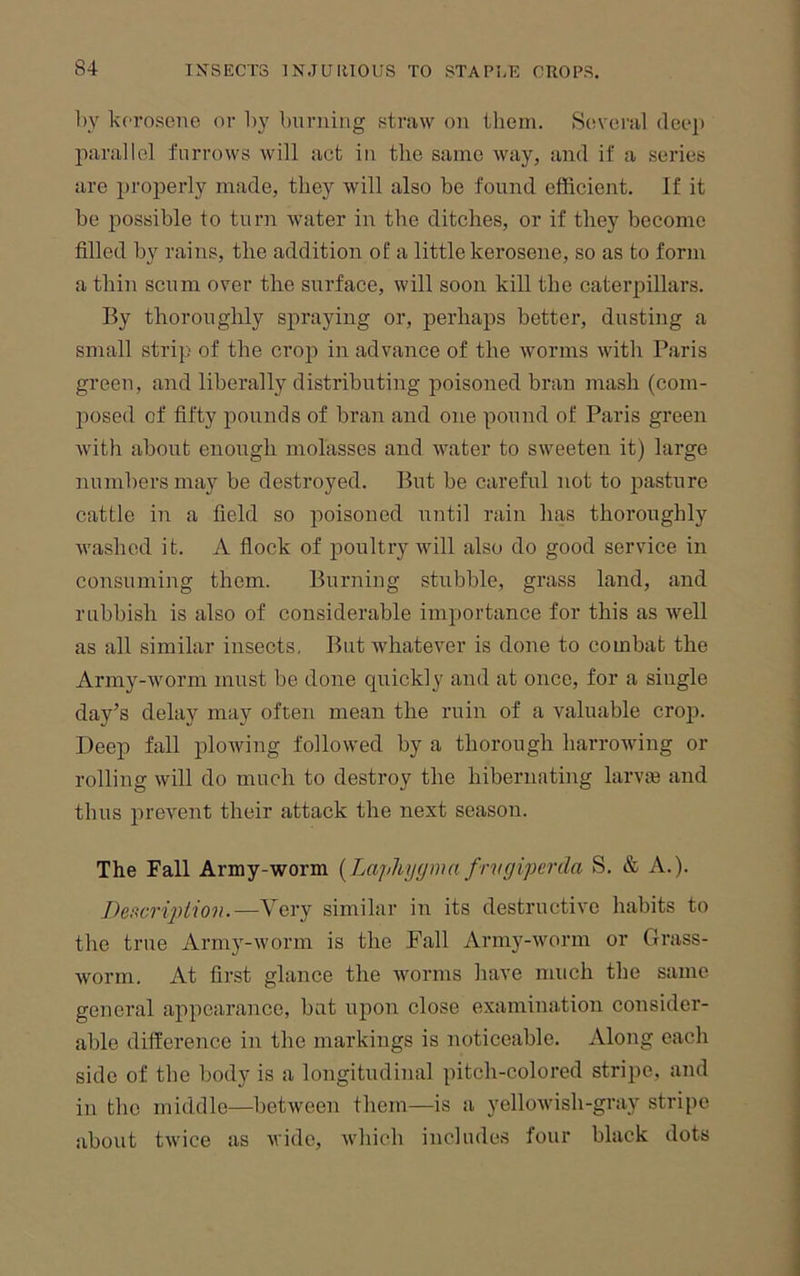 by kerosene or l)y burning straw on them. Several deep parallel furrows will act in the same way, and if a series are projierly made, they will also be found efficient. If it be possible to turn water in the ditches, or if they become filled by rains, the addition of a little kerosene, so as to form a thin scum over the surface, will soon kill the caterpillars. By thoroughly spraying or, perhaps better, dusting a small strip of the crop in advance of the worms with Paris green, and liberally distributing poisoned bran mash (com- posed of fifty pounds of bran and one pound of Paris green with about enough molasses and water to sweeten it) large numbers may be destroyed. But be careful not to pasture cattle in a field so poisoned until rain has thoroughly washed it. A flock of poultry will also do good service in consuming them. Burning stubble, grass land, and rubbish is also of considerable importance for this as well as all similar insects, But whatever is done to combat the Army-worm must be done quickly and at once, for a single day’s delay may often mean the ruin of a valuable crop. Deep fall plowing followed by a thorough harrowing or rolling will do much to destroy the hibernating larvie and thus prevent their attack the next season. The Fall Army-worm [Laiihygmn frvgiperda S. & A.). Descriplion.—Very similar in its destructive habits to the true Army-worm is the Fall Army-worm or Gi’ass- worm. At first glance the worms have much the same general appearance, bat ujion close examination consider- able difference in the markings is noticeable. Along each side of the body is a longitudinal pitch-colored stripe, and in the middle—between them—is a yellowish-gray stripe about twice as wide, which includes four black dots