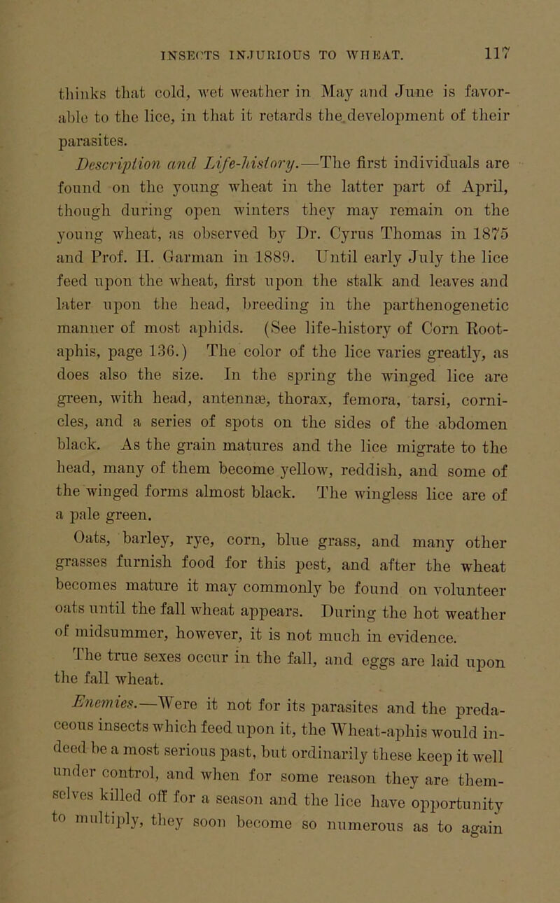 tliiuks that cold, wet weatlior in May and June is favor- al)lo to the lice, in that it retards the^development of their parasites. Description ami Life-history.—The first individuals are found on the young wheat in the latter part of April, though during open winters they may remain on the young wheat, as observed by Dr. Cyrus Thomas in 1875 and Prof. H. Carman in 1889. Until early July the lice feed upon the wheat, first upon the stalk and leaves and later upon the head, breeding in the parthenogenetic manner of most ajihids. (See life-history of Corn Root- aphis, page 136.) The color of the lice varies greatly, as does also the size. In the spring the winged lice are gi-een, with head, antennse, thorax, femora, tarsi, corni- cles, and a series of spots on the sides of the abdomen black. As the grain matures and the lice migrate to the head, many of them become yellow, reddish, and some of the winged forms almost black. The wingless lice are of a pale green. Oats, barley, rye, corn, blue grass, and many other grasses furnish food for this pest, and after the wheat becomes mature it may commonly be found on volunteer oats until the fall wheat appears. During the hot weather of midsummer, however, it is not much in evidence. The true sexes occur in the fall, and eggs are laid upon the fall wheat. Were it not for its parasites and the preda- ceous insects which feed upon it, the Wheat-aphis would in- deed be a most serious past, but ordinarily these keep it well under control, and when for some reason they are them- selves killed off for a season and the lice have opportunity to multiply, they soon become so numerous as to again