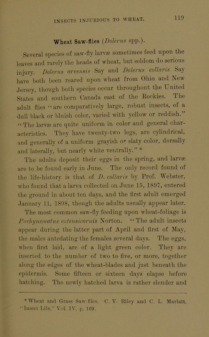 Wheat Saw-flies {Dolerus spp.). Several species of saw-fly larvie sometimes feed upon the leaves and rarely the heads of wheat, but seldom do serious injury. Dolerus arvensis Say and Dolerus collarts Say have both been reared upon wheat from Ohio and New Jersey, though both species occur throughout the United States and southern Canada east of the Rockies. Ihe adult flies “are comparatively large, robust insects, of a dull black or bluish color, varied with yellow or reddish.” “The larvie are quite uniform in color and general char- acteristics. They have twenty-two legs, are cylindrical, and generally of a uniform grayish or slaty color, dorsally and laterally, but nearly white ventrally.” * Tlie adults deposit their eggs in the spring, and larvae are to be found early in June. The only record found of the life-history is that of D. collaris by Prof. Webster, who found that a larva collected on June 15, 1897, entered the ground in about ten days, and the first adult emerged January 11, 1898, though the adults usually appear later. The most common saw-fly feeding upon wheat-foliage is Pachynematus exlensicornis Norton. “The adult insects appear during the latter part of April and first of May, the males antedating the females several days. The eggs, when first laid, are of a light green color. They are inserted to the number of two to five, or more, together along the edges of the wheat-blades and just beneath the epidermis. Some fifteen or sixteen days elapse before hatching. The newly hatched larva is rather slender and * Wheat and Gras.s Saw-llies. C. V. Riley and C. L. Marlatt, “Insect Life,” Vol. IV, p. 109.