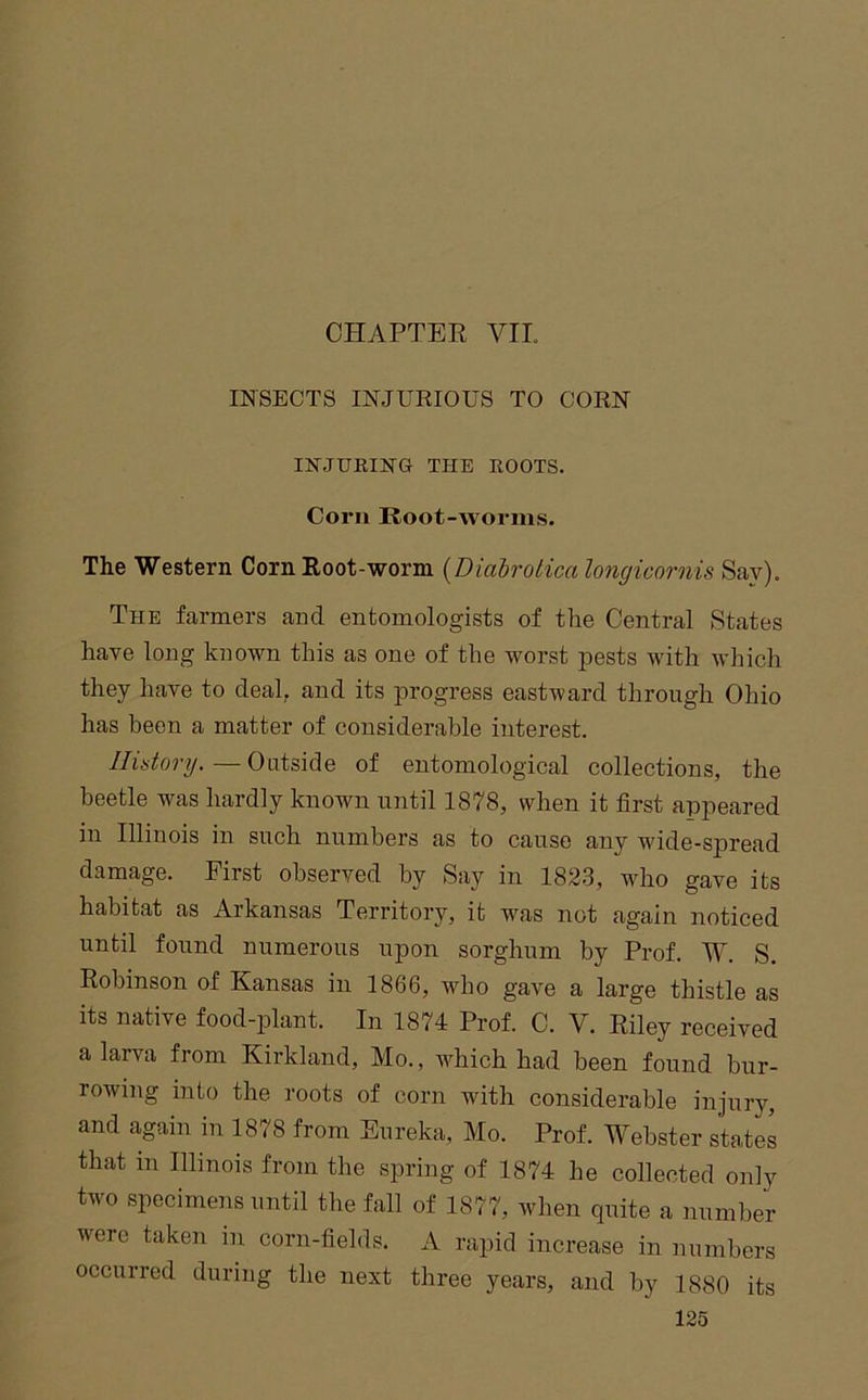 CHAPTER Vri INSECTS INJURIOUS TO CORN INJUKING- THE ROOTS. Corn Root-worms. The Western Corn Root-worm {Diabrolica longicornis Say). The farmers and entomologists of the Central States have long known this as one of the worst pests with which they have to deal, and its progress eastward through Ohio has been a matter of considerable interest. History.—Oais,\^Q of entomological collections, the beetle was hardly known until 1878, when it first appeared in Illinois in such numbers as to cause any wide-spread damage. First observed by Say in 1823, who gave its habitat as Arkansas Territory, it was not again noticed until found numerous upon sorghum by Prof. W. S. Robinson of Kansas in 1866, who gave a large thistle as its native food-plant. In 1874 Prof. C. V. Riley received a larva from Kirkland, Mo., which had been found bur- rowing into the roots of corn with considerable injury, and again in 1878 from Eureka, Mo. Prof. Webster states that in Illinois from the spring of 1874 he collected only two specimens until the fall of 1877, when quite a number were taken in corn-fields. A rapid increase in numbers occurred during the next three years, and by 1880 its