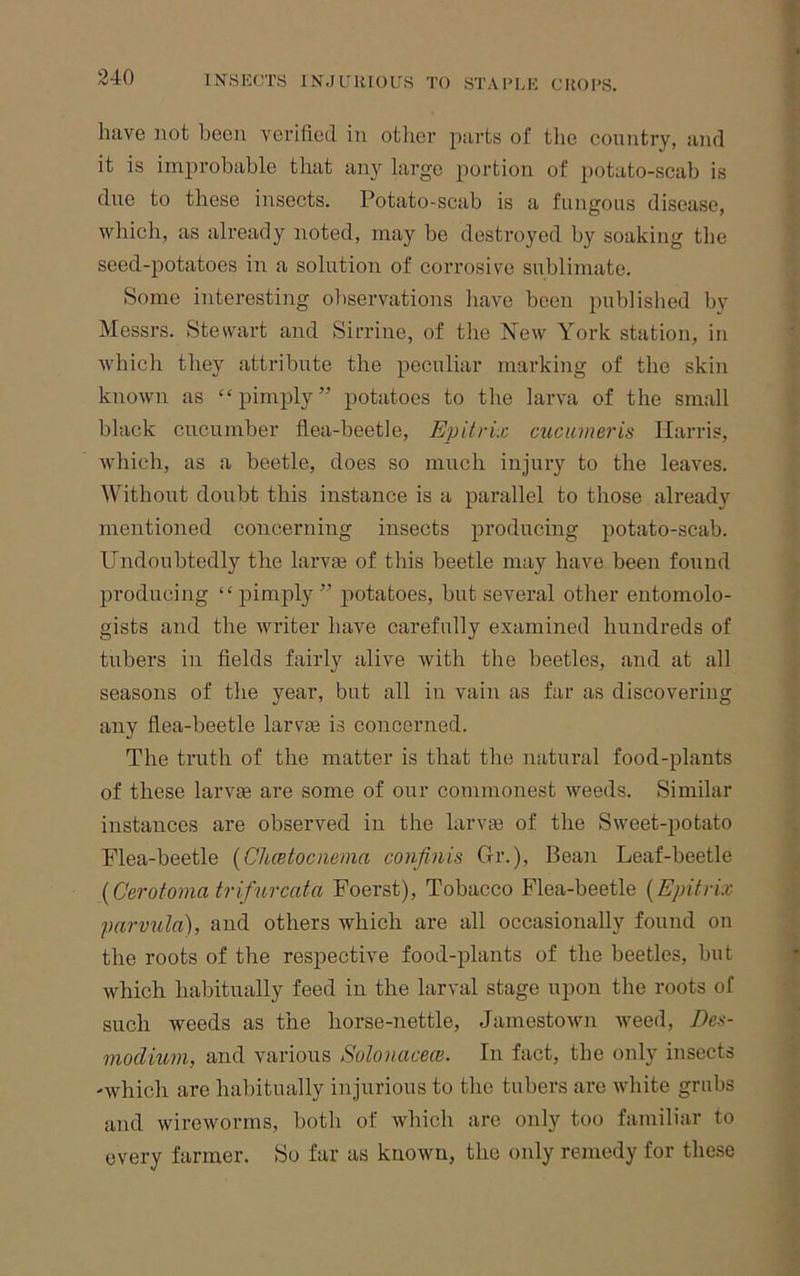 have not been verified in otlier iiarts of the country, and it is imin-obable that any lai-ge portion of potato-scab is due to these insects. Potato-scab is a fungous disease, which, as already noted, may be destroyed by soaking the seed-potatoes in a solution of corrosive sublimate. Some interesting observations have been published by Messrs. Stewart and Sirrine, of tlie New York station, in which they attribute the peculiar marking of the skin known as “pimply” potatoes to the larva of the small black cucumber flea-beetle, Epitrix cuciimeris Harris, which, as a beetle, does so much injury to the leaves. Without doubt this instance is a parallel to those already mentioned concerning insects producing potato-scab. Undoubtedly the larvas of this beetle may have been found producing “pimply” potatoes, but several other entomolo- gists and the writer have carefully examined hundreds of tubers in fields fairly alive with the beetles, and at all seasons of the year, but all in vain as far as discovering any flea-beetle larvae is concerned. The truth of the matter is that the natural food-plants of these larvae are some of our commonest weeds. Similar instances are observed in the larvae of the Sweet-potato Flea-beetle {ChcBtociiema conjinis Gr.), Bean Leaf-beetle [Cerotoma trifurcata Foerst), Tobacco Flea-beetle {Epitrix parvula), and others which are all occasionally found on the roots of the respective food-plants of the beetles, but which habitually feed in the larval stage upon the roots of such weeds as the horse-nettle, Jamestown weed, Dea- modium, and various SolonacecB. In fact, the only insects 'which are habitually injurious to the tubers are white grubs and wireworms, both of which are only too familiar to every farmer. So far as known, the only remedy for these