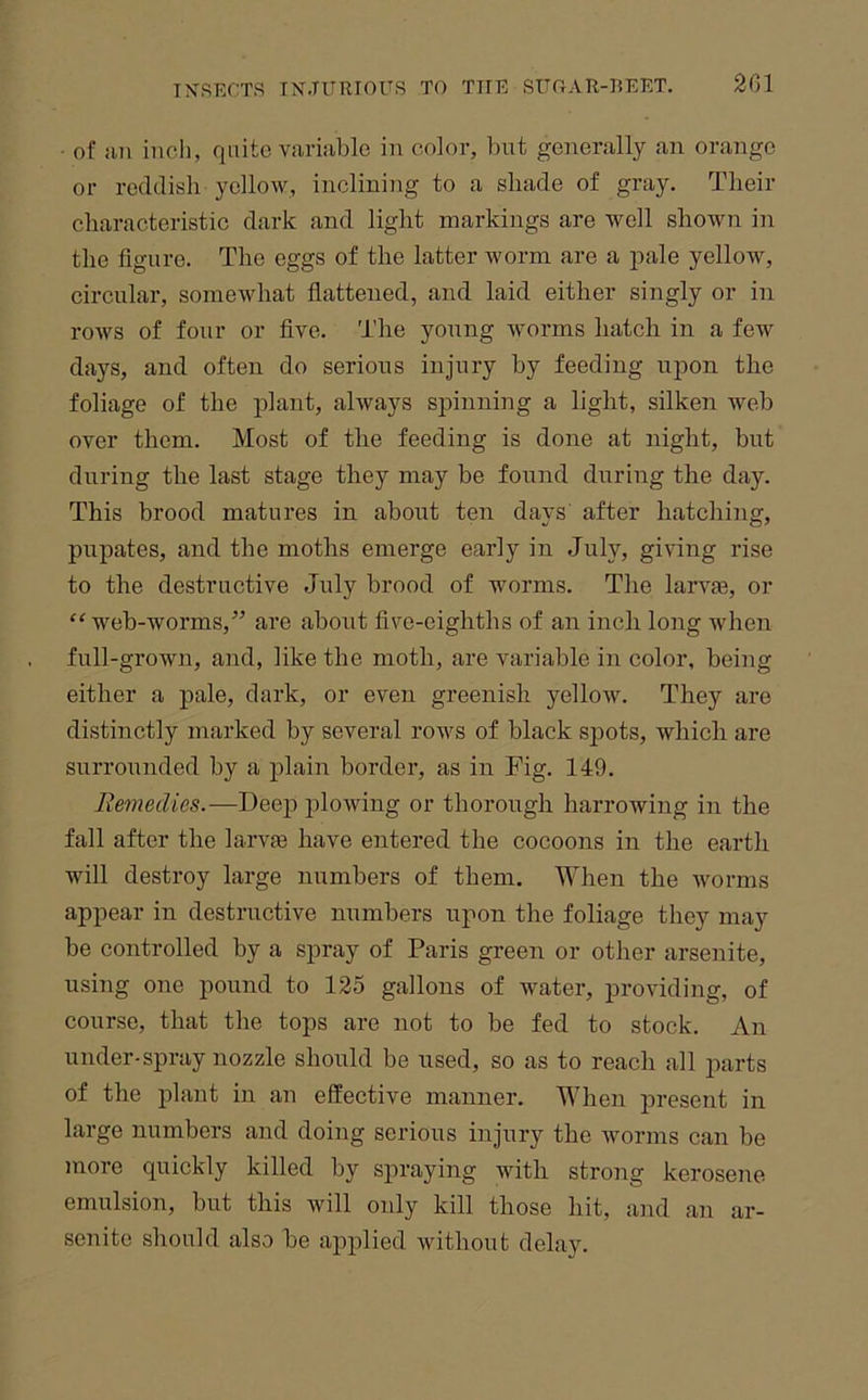 • of iui incli, quite variable in color, l)ut generally an orange or reddish yellow, inclining to a shade of gray. Their characteristic dark and light markings are well shown in the figure. The eggs of the latter worm are a pale yellow, circular, somewhat flattened, and laid either singly or in rows of four or five. The young worms hatch in a few days, and often do serious injury by feeding upon the foliage of the plant, always spinning a light, silken web over them. Most of the feeding is done at night, but during the last stage they may be found during the day. This brood matures in about ten days after hatching, pupates, and the moths emerge early in July, giving rise to the destructive July brood of worms. The larvm, or “web-worms,” are about five-eighths of an inch long when full-grown, and, like the moth, are variable in color, being either a pale, dark, or even greenish yellow. They are distinctly marked by several rows of black spots, which are surrounded by a plain border, as in Fig. 149. Remedies.—Deep plowing or thorough harrowing in the fall after the larvje have entered the cocoons in the earth will destroy large numbers of them. When the worms appear in destructive numbers upon the foliage they may be controlled by a spray of Paris green or other arsenite, using one pound to 125 gallons of water, providing, of course, that the tops are not to be fed to stock. An under-spray nozzle should be used, so as to reach all jiarts of the plant in an effective manner. When present in large numbers and doing serious injury the worms can be more quickly killed by spraying with strong kerosene emulsion, but this will only kill those hit, and an ar- senite should also be aj)plied without delay.