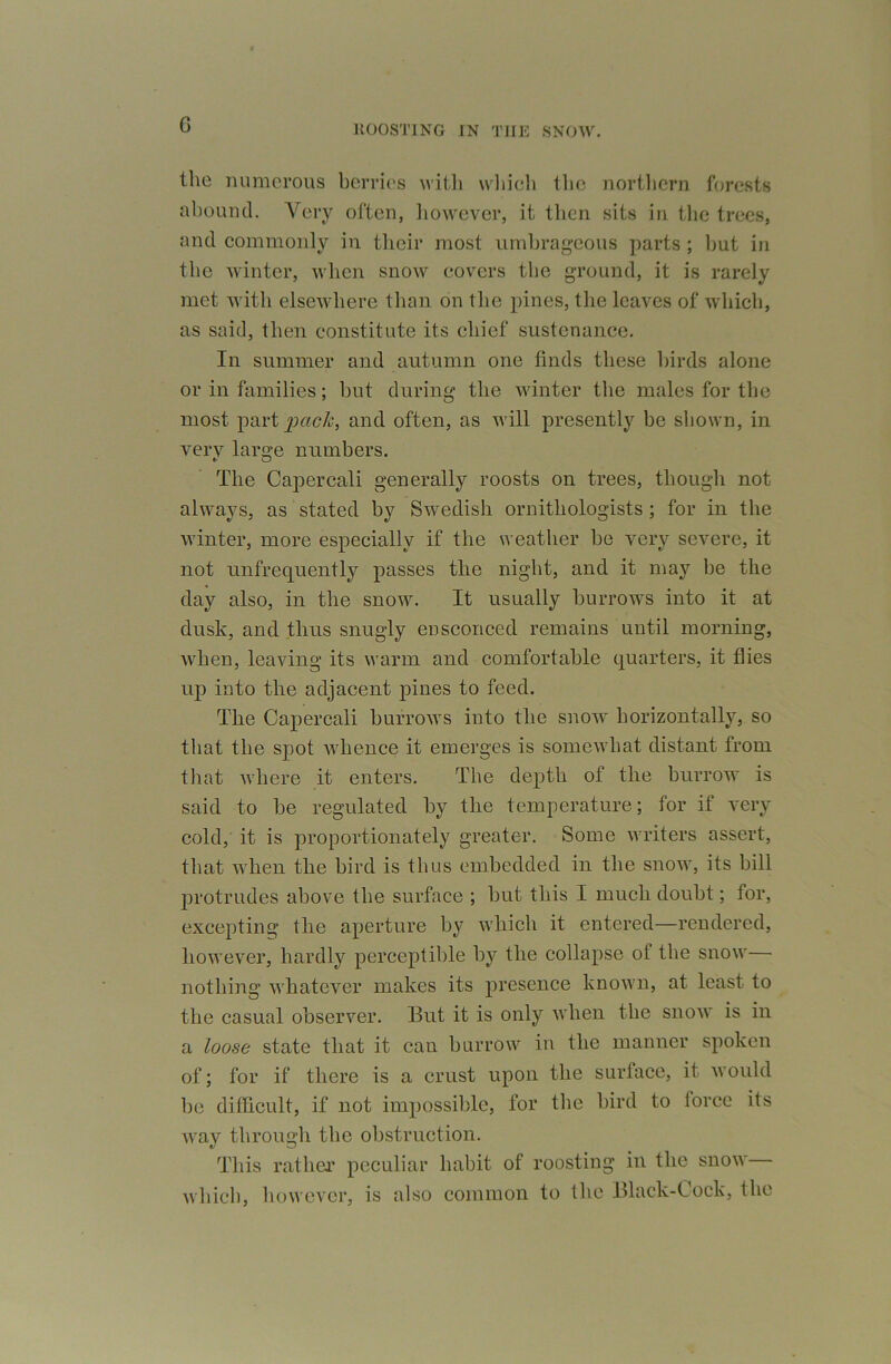 G 1U)0S'1'ING IN THE SNOW, the numerous bcrrii's witli wliicli the northern forests ahouncl. Very often, liowever, it then sits in the trees, and commonly in their most umhrag-cous parts ; hut in the winter, when snow covers the ground, it is rarely met with elsewhere than on the pines, the leaves of which, as said, then constitute its chief sustenance. In summer and autumn one finds these birds alone or in families; hut during the winter the males for the most part and often, as will presently be sliown, in very large numbers. The CaiDercali generally roosts on trees, though not always, as stated by Sv^edisli ornithologists; for in the winter, more especially if the weather he very severe, it not unfrequently passes the night, and it may he the day also, in the snow. It usually burrows into it at dusk, and thus snugly eiisconced remains until morning, when, leaving its warm and comfortable quarters, it flies up into the adjacent pines to feed. The Capercali burrows into the snow horizontally, so that the spot whence it emerges is somewhat distant from tliat where it enters. The depth of the burrow is said to he regulated by the temperature; for if very cold, it is proportionately greater. Some writers assert, that when the bird is thus embedded in the snow, its hill jn’otrudes above the surface ; hut this I much doubt; for, excepting the aperture by Avhich it entered—rendered, however, hardly perceptible by the collapse of the snow— nothing whatever makes its presence known, at least to the casual observer. But it is only when the snow is in a loose state that it can burrow in the manner spoken of; for if there is a crust upon the surface, it would be difficult, if not impossible, for the bird to force its Avav through the obstruction. t/ d This rather peculiar habit of roosting in the snow which, however, is also common to the Black-Cock, the