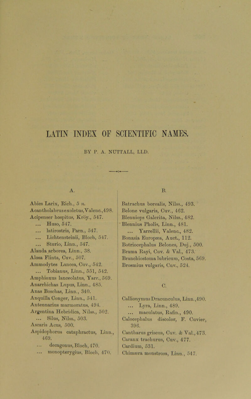LATIN INDEX OF SCIENTIFIC NAMES. BY P. A. NUTT ALL, LLD. A. Abies Larix, Rich., 5 n. Acantholabi’usexoletus,Valenic.,498. Acipenser hospitus, Krby., 547. ... Huso, 547. ... latirostris, Parn., 547. ... Lichtensteinii, Bloch, 547. ... Sturio, Linu., 547. Alauda arborea, Linn., 38. Alosa Flinta, Guv., 507. Ammodjtes Lancea, Cuv., 542. ... Tobianus, Linn., 551, 542. Amphioxus lanceolatus, Yan-., 569. Anarrhichas Lupus, Linn., 485. Anas Boschas, Linn., 340. Anquilla Conger, Linn., 541. Antennarius niarmoratus, 494. Argentina Hebridica, Nilss., 502. ... Silus, Nilss., 503. Ascaris Acus, 500. Aspidophorus cataphractus, Linn., 469. decagonus, Bloch, 470. ... monopterygius, Bloch, 470. B. Batracbus borealis, Nilss., 493. Belone vulgaris, Cuv., 462. Blenniops Galerita, Nilss., 482. Blennius Pholis, Linn., 481. ... Yarrellii, Yalenc., 482. Bonasia Europsea, Auct., 112. Botriocepbalus Belones, Duj., 500. Brama Rayi, Cuv. & Yal., 473. Brancbiostoma lubricurn, Costa, 569. Brosmius vulgaris, Cuv., 524. C. CallionymusDracunculus, Linn.,490. ... Lyra, Linn., 489. ... maculatus, Rafin., 490. Calocepbalus discolor, F. Cuviei', 396. Cantliarus griseus, Cuv. & Yal.,473. Caranx tracburus, Cuv., 477. Cardium, 531. Cliima3ra monstrosa, Linn., 547.