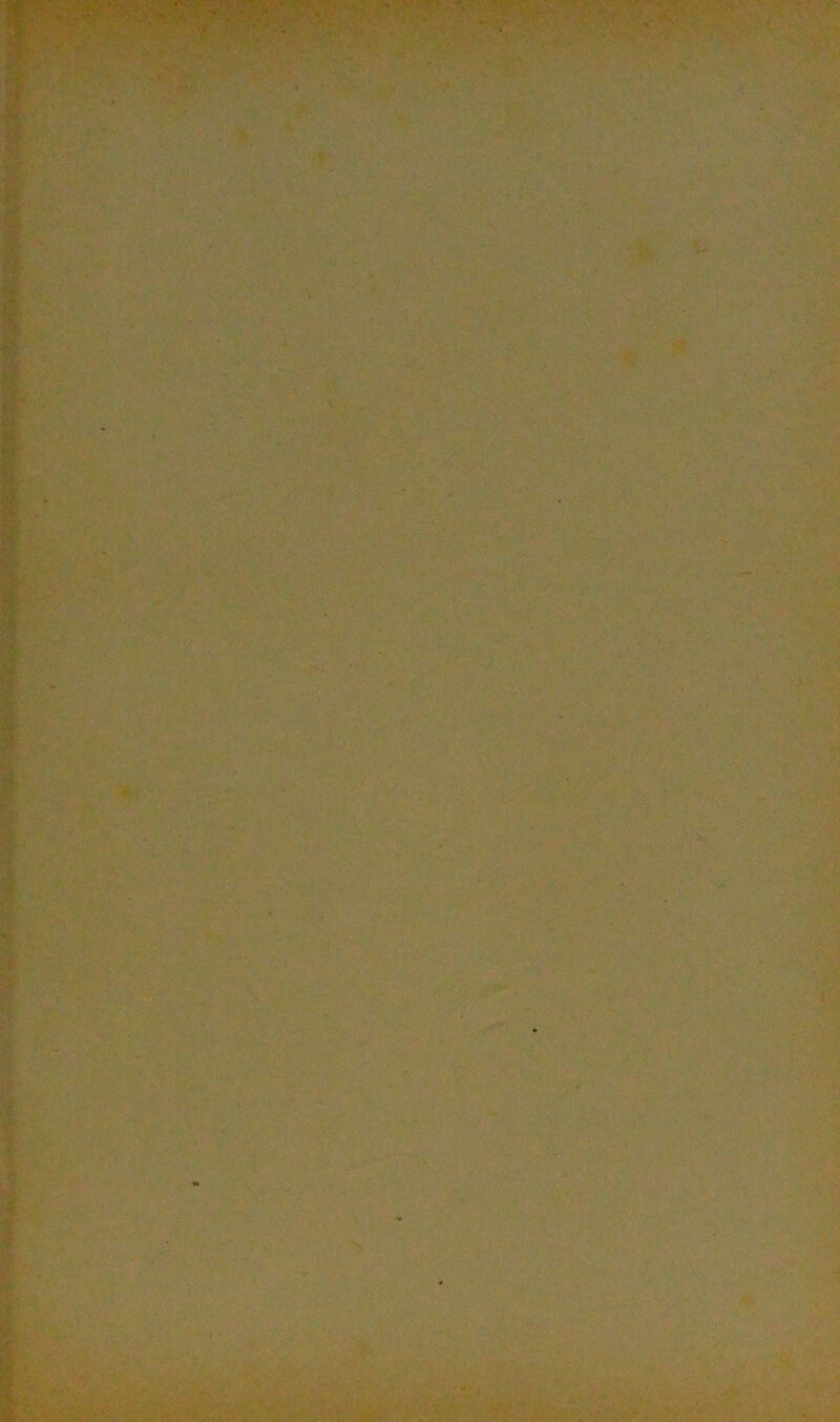 tSF-r ;. ' * ••■' •• : •* '