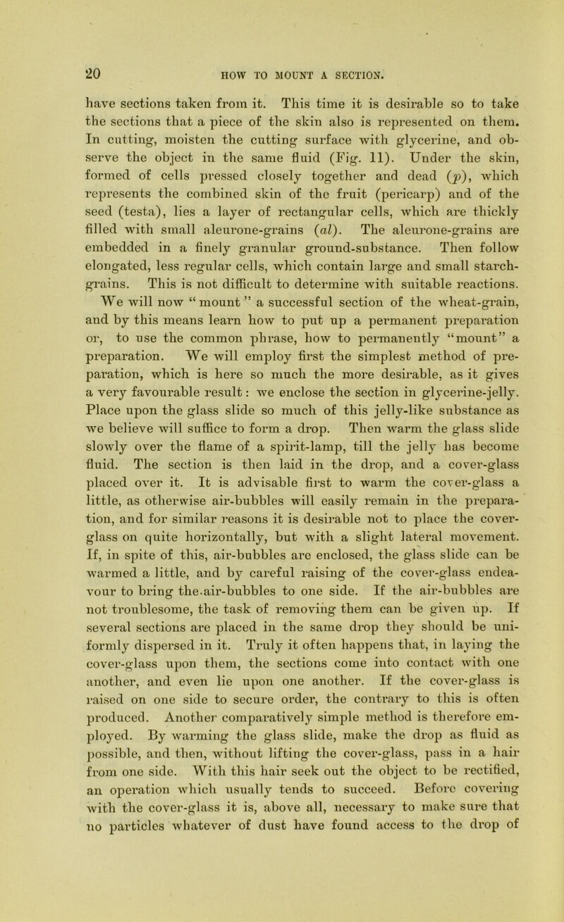 have sections taken from it. This time it is desirable so to take the sections that a piece of the skin also is represented on them. In cutting, moisten the cutting surface with glycerine, and ob- serve the object in the same fluid (Fig. 11). Under the skin, formed of cells pressed closely together and dead (p), which rej^resents the combined skin of the fruit (pericarp) and of the seed (testa), lies a layer of rectangular cells, which are thickly filled with small aleurone-grains {al). The aleurone-grains are embedded in a finely granular ground-substance. Then follow elongated, less regular cells, which contain large and small starch- grains. This is not difficult to determine with suitable reactions. We will now “mount” a successful section of the wheat-grain, and by this means learn how to put up a permanent preparation or, to use the common phrase, how to permanently “mount” a preparation. We will employ first the simplest method of pre- paration, which is here so much the more desirable, as it gives a very favourable result: we enclose the section in glycerine-jelly. Place upon the glass slide so much of this jelly-like substance as w'e believe will suffice to form a drop. Then warm the glass slide slowdy over the flame of a spirit-lamp, till the jelly has become fluid. The section is then laid in the drop, and a cover-glass placed over it. It is advisable first to warm the coter-glass a little, as otherwise air-bubbles will easily remain in the prepara- tion, and for similar reasons it is desirable not to place the cover- glass on quite horizontally, but with a slight lateral movement. If, in spite of this, air-bubbles are enclosed, the glass slide can be warmed a little, and by careful raising of the cover-glass endea- vour to bring the.air-bubbles to one side. If the air-bubbles are not troublesome, the task of removing them can be given up. If several sections are placed in the same drop they should be uni- formly dispersed in it. Truly it often happens that, in laying the cover-glass upon them, the sections come into contact with one another, and even lie upon one another. If the cover-glass is raised on one side to secure order, the contrary to this is often produced. Another comparatively simple method is therefore em- ployed. By warming the glass slide, make the drop as fluid as possible, and then, without lifting the cover-glass, pass in a hair from one side. With this hair seek out the object to be rectified, an operation which usually tends to succeed. Before covering with the cover-glass it is, above all, necessary to make sure that no particles whatever of dust have found access to the drop of