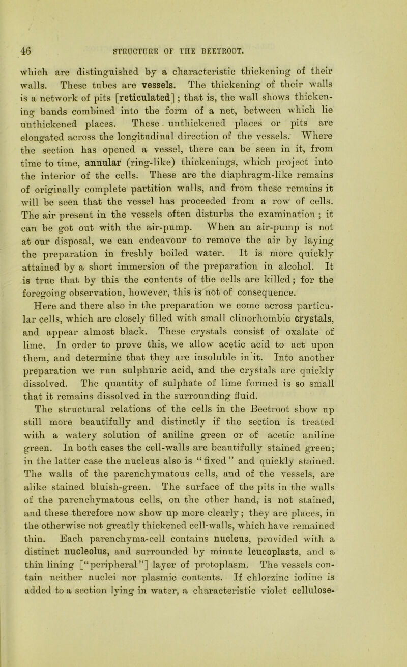 which, are distinguished by a characteristic thickening of their walls. These tubes are vessels. The thickening of their walls is a network of pits [reticulated] ; that is, the wall shows thicken- ino- bands combined into the form of a net, between which lie unthickened places. These unthickened places or pits are elono-ated across the lonsfitudinal direction of the vessels. Where the section has opened a vessel, there can be seen in it, from time to time, annular (ring-like) thickenings, which project into the interior of the cells. These are the diaphragm-like remains of originally complete partition walls, and from these remains it will be seen that the vessel has proceeded from a row of cells. The air present in the vessels often disturbs the examination ; it can be got out with the air-pump. When an air-puin23 is not at our disposal, we can endeavour to remove the air by laying the preparation in freshly boiled water. It is more quickly attained by a short immersion of the preparation in alcohol. It is true that by this the contents of the cells are killed; for the foregoing observation, however, this is not of consequence. Here and there also in the preparation we come across particu- lar cells, which are closely filled with small clinorhombic crystals, and appear almost black. These crystals consist of oxalate of lime. In order to prove this, we allow acetic acid to act upon them, and determine that they are insoluble in it. Into another preparation we run sulphuric acid, and the crystals are quickly dissolved. The quantity of sulphate of lime formed is so small that it remains dissolved in the surrounding fluid. The structural relations of the cells in the Beetroot show up still more beautifully and distinctly if the section is treated with a watery solution of aniline green or of acetic aniline green. In both cases the cell-walls are beautifully stained green; in the latter case the nucleus also is “ fixed ” and quickly stained. The walls of the parenchymatous cells, and of the vessels, are alike stained bluish-green. The surface of the pits in the walls of the parenchymatous cells, on the other hand, is not stained, and these therefore now show up more clearly; they are places, in the otherwise not greatly thickened cell-walls, which have remained thin. Each parenchyma-cell contains nucleus, provided with a distinct nucleolus, and surrounded by minute leucoplasts, and a thin lining [“peripheral”] layer of protoplasm. The vessels con- tain neither nuclei nor plasmic contents. If chlorzinc iodine is added to a section lying in water, a characteristic violet cellulose-