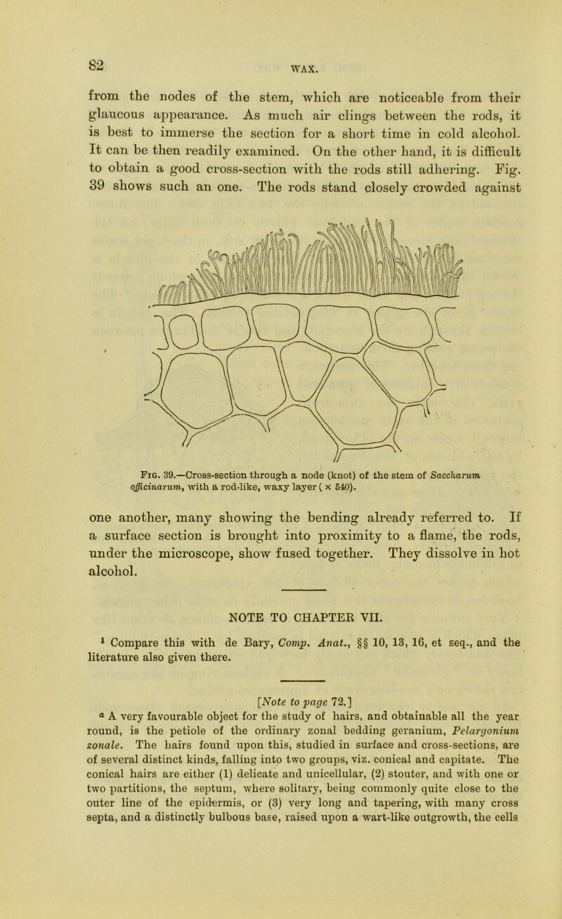 WAX. from the nodes of the stem, which are noticeable from their glaucous appearance. As much air clings between the rods, it is best to immerse the section for a short time in cold alcohol. It can be then readily examined. On the other hand, it is difficult to obtain a good cross-section with the rods still adhering. Fig. 39 shows such an one. The rods stand closely crowded against Fig. 39.—Cross-section through a node (knot) of the stem of Saccharum officinarum., with a rod-like, waxy layer ( x 640). one another, many showing the bending already referred to. If a surface section is brought into proximity to a flame, the rods, under the microscope, show fused together. They dissolve in hot alcohol. NOTE TO CHAPTEK VII. * Compare this with de Bary, Comp. Anat., §§ 10, 13, 16, et seq., and the literature also given there. [Note to page 72.] ® A very favourable object for the study of hairs, and obtainable all the year round, is the petiole of the ordinary zonal bedding geranium. Pelargonium zonale. The hairs found upon this, studied in surface and cross-sections, are of several distinct kinds, falling into two groups, viz. conical and capitate. The conical hairs are either (1) delicate and unicellular, (2) stouter, and with one or two partitions, the septum, where solitary, being commonly quite close to the outer line of the epidermis, or (3) very long and tapering, with many cross septa, and a distinctly bulbous base, raised upon a wart-like outgrowth, the cells