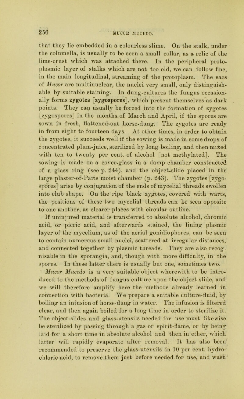 JIUCCR MUCLDO. that they lie embedded in a colourless slime. On the stalk, under the columella, is usually to be seen a small collar, as a relic of the lime-crust which was attached there. In the pei-ipheral proto- plasmic layer of stalks which are not too old, we can follow fine, in the main longitudinal, streaming of the protoplasm. The sacs of Mucor are multinuclear, the nuclei very small, only distinguish- able by suitable staining. In dung-cultures the fungus occasion- ally forms zygotes [zygospores], which present themselves as dark points. They can usually be forced into the formation of zygotes [zygospores] in the months of March and April, if the spores are sown in fresh, flattened-out horse-dung. The zygotes are ready in from eight to fourteen days. At other times, in order to obtain the zygotes, it succeeds well if the sowing is made in some drops of concentrated plum-juice, sterilized by long boiling, and then mixed with ten to twenty per cent, of alcohol [not methylated]. The sowing is made on a cover-glass in a damp chamber constructed of a glass ring (see p. 244), and the object-slide placed in the large plaster-of-Paris moist chamber (p. 243). The zygotes [zygo- spores] arise by conjugation of the ends of mycelial threads swollen into club shape. On the rij>e black zygotes, covered Avith warts, the positions of these two mycelial threads can be seen opposite to one another, as clearer places Avith circular outline. If uninjured material is transferred to absolute alcohol, chromic acid, or picric acid, and afterwards stained, the lining plasmic layer of the mycelium, as of the aerial gonidiophores, can be seen to contain numerous small nuclei, scattei’ed at irregular distances, and connected together by plasmic threads. They are also recog- nisable in the sporangia, and, though Avith more difficulty, in the spores. In these latter there is usually but one, sometimes tAvo. Mucor Mucedo is a very suitable object AvhereAvith to be intro- duced to the methods of fungus culture upon the object slide, and Ave Avill therefore amjilify here the methods already learned in connection with bacteria. We prepare a suitable culture-fluid, by boiling an infusion of horse-dung in water. The infusion is filtered clear, and then again boiled for a long time in order to sterilize it. The object-slides and glass-utensils needed for use must likewise be sterilized by passing through a gas or spirit-flame, or by being laid for a short time in absolute alcohol and then in ether, Avhich latter Avill I'apidly evajAorate after removal. It has also been recommended to preserve the glass-utensils in 10 per cent, hydro- chloric acid, to remove them just before needed for use, and Avash