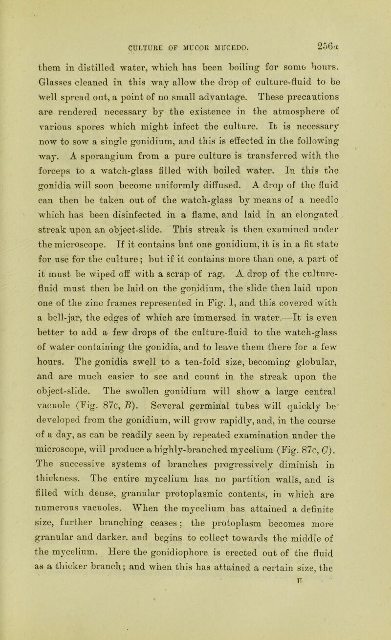 them in distilled water, which has been boiling for some hours. Glasses cleaned in this way allow the drop of culture-fluid to be ■well spread out, a point of no small advantage. These precautions are rendered necessary by the existence in the atmosphere of various spores which might infect the culture. It is necessary now to sow a single gonidium, and this is effected in the following way. A sporangium from a pure culture is transferred with the forceps to a watch-glass filled with boiled water. In this the gonidia will soon become uniformly diffused. A drop of the fluid can then be taken out of the watch-glass by means of a needle which has been disinfected in a flame, and laid in an elongated streak upon an object-slide. This streak is then examined undei’ the microscope. If it contains but one gonidium, it is in a fit state for use for the culture; but if it contains more than one, a part of it must be wiped off with a scrap of rag. A drop of the culture- fluid must then be laid on the gonidium, the slide then laid upon one of the zinc frames represented in Fig. I, and this covered with a bell-jar, the edges of which are immersed in water.—It is even better to add a few drops of the culture-fluid to the watch-glass of water containing the gonidia, and to leave them there for a few hours. The gonidia swell to a ten-fold size, becoming globular, and are much easier to see and count in the streak upon the object-slide. The swollen gonidium will show a large central vacuole (Fig. 87c, B). Several germinal tubes will quickly be' developed from the gonidium, will grow rapidly, and, in the course of a day, as can be readily seen by repeated examination under the microscope, will produce a highly-branched mycelium (Fig. 87c, G). The successive systems of branches progressively diminish in thickness. The entire mycelium has no partition walls, and is filled with dense, granular protoplasmic contents, in which are numerous vacuoles. When the mycelium has attained a definite size, further branching ceases; the protoplasm becomes more granular and darker, and begins to collect towards the middle of the mycelium. Here the gonidiophore is erected out of the fluid as a thicker branch; and when this has attained a certain size, the u