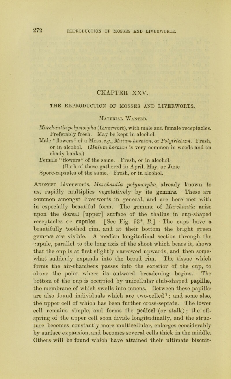 KEPKODUCTION OF MOS«ES AND LIVERWOilTG. CHAPTER XXV. THE KEPEODUCTION OF MOSSES AND LIVERWOETS. Material Wanted. Marchantia polymorplia (Liverwort), with male and female receptacles. Preferably fresh. May be kept in alcohol. Male “flowers” of a Moss, e.g., Mnium liornmn, or Polytriclium. Fresh, or in alcohol. {Mnium liornum is very common in woods and on shady banks.) Female “flowers” of the same. Fresh, or in alcohol. (Both of these gathered in April, May, or June rSpore-capsules of the same. Fresh, or in alcohol. AirONGST Liverworts, Marcliantia polymorpTia, already known to ns, rapidly multiplies vegetatively by its geinnice. These are common amongst liverworts in general, and are here met with in especially beautiful form. The gemmce of Marcliantia arise upon the dorsal [upper] surface of the thallus in cup-shaped recejDtacles cr cupules. [See Fig. 93*, R.] The cups have a beautifully toothed rim, and at their bottom the bright g'reen gemmse are visible. A median longitudinal section through the 'uipule, parallel to the long axis of the shoot which bears it, shows that the cup is at first slightly narrowed upwards, and then some- what suddenly expands into the broad rim. The tissue which forms the air-chambers passes into the exterior of the cup, to above the point where its outward broadening begins. The bottom of the cup is occupied by unicellular club-shajied papillae, the membrane of Avhich swells into mucus. Between these papillie are also found individuals which are two-celled^; and some also, the upper cell of which has been further cross-septate. The lower cell remains simple, and forms the pedicel (or stalk) ; the off- spring of the upper cell soon divide longitudinally, and the struc- ture becomes constantly more multicellular, enlarges considerably by surface expansion, and becomes several cells thick in the middle. Others will be found which have attained their ultimate biscuit-