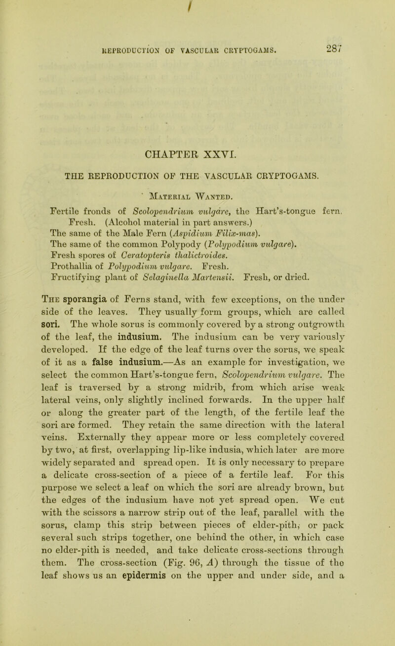 UEFRODUCTiON OF VASCULAR CRYPTOGAMS. 287 CHAPTER XXVI. THE KEPEODUCTION OF THE VASCULAR CRYPTOGAMS. Material Wanted. Fertile fronds of Scolopendrmm vulgdre, tlie Plart’s-tongue fern, Fresh. (Alcohol material in part answers.) The same of the Male Fern {Aspidium Filix-mas). The same of the common Polypody {Polypodium vulgare). Fresh spores of Ceratopteris thalictroides. Prothallia of Polypodium vulgare. Fresh. Fructifying plant of Selaginella Martensii, Fresh, or dried. The sporangia of Ferns stand, wdth few exceptions, on the under side of the leaves. They usually form groups, which are called sori. The whole sorus is commonly covered by a strong outgrowth of the leaf, the indusium. The indusium can be very variously developed. If the edge of the leaf turns over the sorus, w-e speak of it as a false indusium.—As an example for investigation, we select the common Hart’s-tongue fern, Scolopendrium vulgare. The leaf is traversed by a strong midrib, from which arise weak lateral veins, only slightly inclined forwards. In the upper half or along the greater part of the length, of the fertile leaf the sori are formed. They retain the same direction with the lateral veins. Externally they appear more or less comj^letely covered by two, at first, overlapping lip-like indusia, which later are more widely separated and sjDread open. It is only necessary to prepare a delicate cross-section of a piece of a fertile leaf. For this purpose we select a leaf on which the sori are already brown, but the edges of the indusium have not yet spread open. We cut with the scissors a narrow strip out of the leaf, parallel with the sorus, clamp this strip between pieces of elder-pith,' or pack several such strips together, one behind the other, in which case no elder-pith is needed, and take delicate cross-sections through them. The cross-section (Fig. 96, A) through the tissue of the leaf shows us an epidermis on the upper and under side, and a