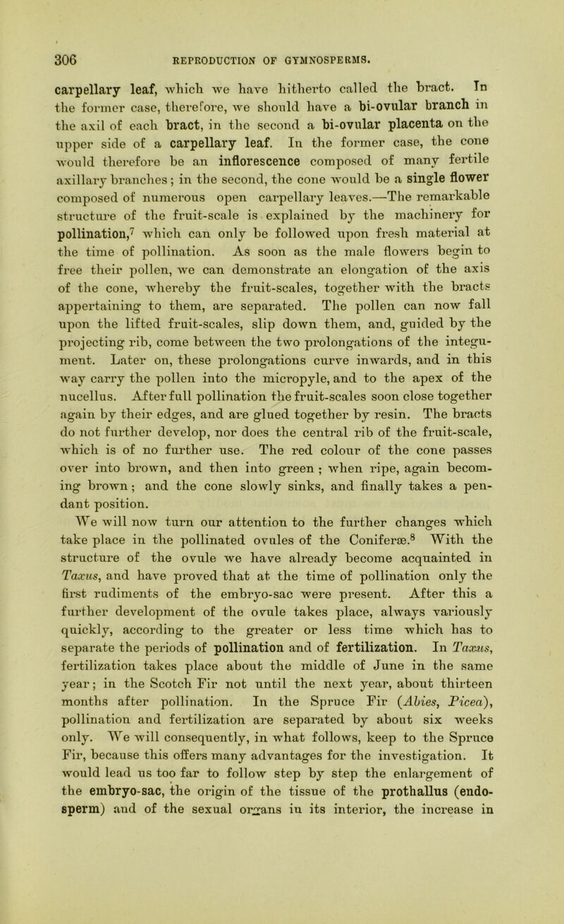 carpellary leaf, which we have hitherto called the bract. Tn the former case, therefore, we should have a bi-ovular branch in the axil of each bract, in the second a bi-ovular placenta on the upper side of a carpellary leaf. In the former case, the cone Avould therefore be an inflorescence composed of many fertile axillary branches; in the second, the cone would be a single flower composed of numerous open carpellary leaves.—The remarkable structure of the fruit-scale is explained by the machinery for pollination,'^ which can only be followed upon fresh material at the time of pollination. As soon as the male flowers begin to free their pollen, we can demonstrate an elongation of the axis of the cone, whereby the fruit-scales, together with the bracts appertaining to them, are separated. The pollen can now fall upon the lifted fruit-scales, slip down them, and, guided by the projecting rib, come between the two prolongations of the integu- ment. Later on, these prolongations curve inwards, and in this way carry the pollen into the micropyle, and to the apex of the nucellus. After full pollination the fruit-scales soon close together again by their edges, and are glued together by resin. The bracts do not further develop, nor does the central rib of the fruit-scale, which is of no further use. The red colour of the cone passes over into brown, and then into green ; when ripe, again becom- ing brown; and the cone slowly sinks, and finally takes a pen- dant position. We will now turn our attention to the further changes which take place in the pollinated ovules of the Coniferie.® With the structure of the ovule we have already become acquainted in Taxus, and have proved that at the time of pollination only the first rudiments of the embryo-sac were present. After this a further development of the ovule takes place, always variously quickly, according to the greater or less time which has to separate the periods of pollination and of fertilization. In Taoc^us, fertilization takes place about the middle of June in the same year; in the Scotch Fir not until the next year, about thirteen months after pollination. In the Spruce Fir (^Ahies, Picea), pollination and fertilization are separated by about six weeks only. We will consequently, in what follows, keep to the Spruce Fir, because this offers many advantages for the investigation. It would lead us too far to follow step by step the enlai’gement of the embryo-sac, the origin of the tissue of the prothallus (endo- sperm) and of the sexual or^i’ans in its interior, the increase in