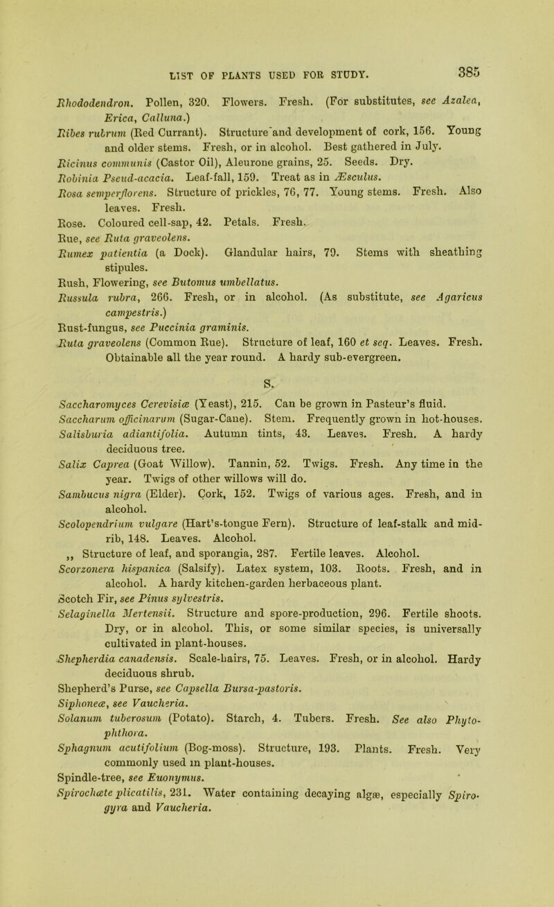 Rhododendron. Pollen, 320. Flowers. Fresh. (For substitutes, see Azalea, Erica, Calluna.) Ribes ruhrum (Ked Currant). Structure'and development of cork, 156. Young and older stems. Fresh, or in alcohol. Best gathered in July. Ricinus communis (Castor Oil), Aleurone grains, 25. Seeds. Dry. Rohinia Pseud-acacia. Leaf-fall, 159. Treat as in Msculus. Rosa semperflorens. Structure of prickles, 76, 77. Young stems. Fresh. Also leaves. Fresh. Bose. Coloured cell-sap, 42. Petals. Fresh. Rue, see. Ruta graveolens. Rumex patientia (a Dock). Glandular hairs, 79. Stems with sheathing stipules. Rush, Flowering, see Butomus umhellatus. Russula rubra, 266. Fresh, or in alcohol. (As substitute, see Agaricus campestris.) Rust-fungus, see Puccinia graminis. Ruta graveolens (Common Rue). Structure of leaf, 160 et seq. Leaves. Fresh. Obtainable all the year round. A hardy sub-evergreen. S. Saccharomyces Cerevisice (Yeast), 215. Can be grown in Pasteur’s fluid. Saccharum officinarvm (Sugar-Cane). Stem. Frequently grown in hot-houses. Salisburia adiantifolia. Autumn tints, 43. Leaves. Fresh. A hardy deciduous tree. Salix Caprea (Goat Willow). Tannin, 52. Twigs. Fresh. Any time in the year. Twigs of other willows will do. Sambucus nigra (Elder). Cork, 152. Twigs of various ages. Fresh, and in alcohol. Scolopendrium uztir/a/'c (Hart’s-tongue Fern). Structure of leaf-stalk and mid- rib, 148. Leaves. Alcohol. ,, Structure of leaf, and sporangia, 287. Fertile leaves. Alcohol. Scorzonera hispanica (Salsify). Latex system, 103. Roots. Fresh, and in alcohol. A hardy kitchen-garden herbaceous plant. Scotch Fir, see Pinus sylvestris. Selaginella Mertensii. Structure and spore-production, 296. Fertile shoots. Dry, or in alcohol. This, or some similar species, is universally cultivated in plant-houses. Sliepherdia canadensis. Scale-bairs, 75. Leaves. Fresh, or in alcohol. Hardy deciduous shrub. Shepherd’s Purse, see Capsella Bursa-pastoris. SiphonecB, see Vaucheria. Solanum tuberosum (Potato). Starch, 4. Tubers. Fresh. See also Phyto- phthora. Sphagnum acutifolium (Bog-moss). Structure, 193. Plants. Fresh. Very commonly used in plant-houses. Spindle-tree, see Euonymus. Spirochcete plicatilis, 2SL. Water containing decaying algae, especially Spiro- gyra and Vaucheria.