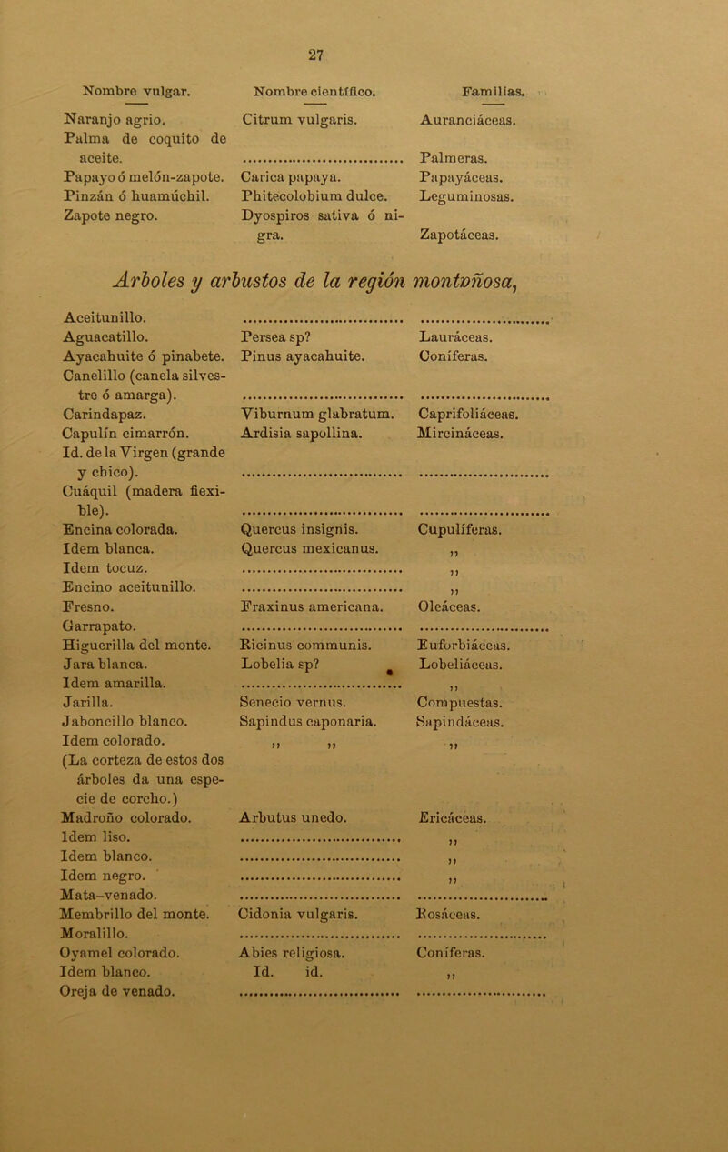 Nombro vulgar. Naranjo agrio. Pulma de coquito de aceite. Papayo ó melón-zapote. Pinzán ó liuamúchil. Zapote negro. Nombre científico. Citrum vulgaris. Carica papaya. Phitecolobium dulce. Dyospiros sativa ó ni- gra. Arboles y arbustos de la región Aceitunillo. Aguacatillo. Ayacahuite ó pinabete. Canelillo (canela silves- tre ó amarga). Carindapaz. Capulín cimarrón. Id. de la Virgen (grande y chico). Cuáquil (madera flexi- ble). Encina colorada. Idem blanca. Idem tocuz. Encino aceitunillo. Fresno. Garrapato. Higuerilla del monte. Jara blanca. Idem amarilla. Jarilla. Jaboncillo blanco. Idem colorado. (La corteza de estos dos árboles da una espe- cie de corcho.) Madroño colorado. Idem liso. Idem blanco. Idem negro. Mata-venado. Membrillo del monte. Moralillo. Oyamel colorado. Idem blanco. Oreja de venado. Persea sp? Pinus ayacahuite. Viburnum glabratum. Ardisia sapollina. Quercus insignis. Quercus mexicanus. Fraxinus americana. Kicinus communis. Lobelia sp? Senecio vernus. Sapindus caponaría. 77 77 Arbutus unedo. Cidonia vulgaris. Abies religiosa. Id. id. Familias. Auranciáceas. Palmeras. Papayaceas. Leguminosas. Zapotáceas. montvñosa, Lauráceas. Coniferas. Caprifoliáceas. Mircináceas. Cupulífcras. 77 77 n Oleáceas. Euforbiáceas. Lobeliáceas. n Compuestas. Sapindáceas. 77 Ericáceas. 77 n n Kosáeeas. Coniferas. >>