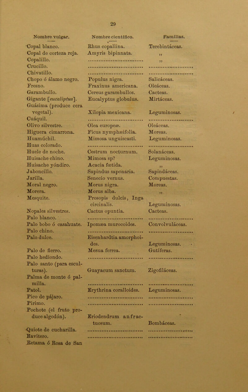 Nombre vulgar. Nombre científico. Familias. Copal blanco. i Rhus copallina. Terebintáceas. Copal de corteza roja. Copalillo. Amyris bipinnata. n j ? Cruc.il lo. Chivatillo. Chopo ó álamo negro. Populus nigra. Salicáceas. Eresno. Fraxinus americana. Oleáceas. Garambullo. Cereus garambullos. Cácteas. Gigante [eucaliptus]. Guásima (produce cera Eucalyptus globulus. Mirtáceas. vegetal). Cuáquil. Xilopia mexicana. Leguminosas. Higuera cimarrona. Ficus nymphseifolia. Moreas. Huamúchil. TTuas colorado. Mimosa unguiscasti. Leguminosas. Huisache chino. Mimosa sp? Leguminosas. Huisache yóndiro. Acacia foetida. U J arilla. Senecio vernus. Compuestas. Moral negro. Morus nigra. Moreas. Morera. Morus alba. n Mesquite. Prosopis dulcis, Inga circinalis. Leguminosas. Nopales silvestres. Palo blanco. Cactus opuntia. Cácteas. Palo bobo ó casahuate. Palo chino. Ipomaea murocoides. Convolvuláceas. Palo dulce. Eisenhardtia amorphoi- des. Leguminosas. Palo de fierro. Palo hediondo. Mesua ferrea. Gutíferas. Palo santo (para escul- turas). Palma de monte ó pal- Guayacum sanctum. Zigofiláceas. milla,. Patol. Erythrina coralloides. Leguminosas. Pico de pájaro. Pirimo. Pochote (el fruto pro- duce algodón). Eriodendrum anfrac- tuosum. Bombáceas. ■Quiote de cucharilla Eavitero. Retama ó Rosa de San i
