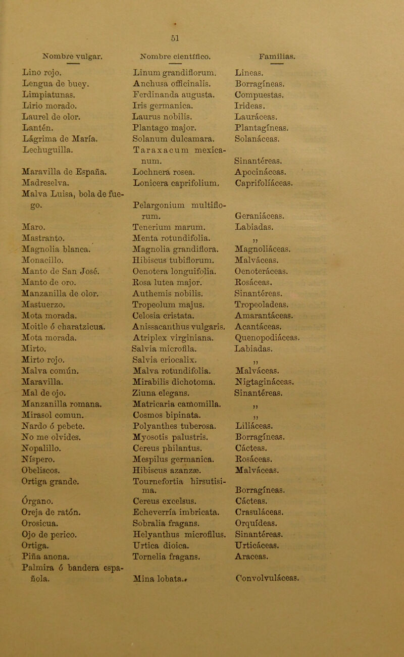 Nombre vulgar. Nombre científico. Familias. Lino rojo. Linum grandiflorum. Lineas. Lengua de buey. Anchusa offlcinalis. Borragíneas. Limpiatunas. Eerdinanda augusta. Compuestas. Lirio morado. Iris germánica. Irideas. Laurel de olor. Laurus nobilis. Lauráceas. Lantén. Plantago major. Plantagíneas. Lágrima de María. Solanum dulcamara. Solanáceas. Lechuguilla. Taraxacum mexica- num. Sinantéreas. Maravilla de España. Lochnera rosea. Apocináceas. Madreselva. Lonicera caprifolium. Caprifoliáceas. Malva Luisa, bola de fue- go- Pelargonium multiflo- rum. Geraniáceas. Maro. Tenerium marum. Labiadas. Mastranto. Menta rotundifolia. >> Magnolia blanca. Magnolia grandiflora. Magnoliáceas. Monacillo. Hibiscus tubiflorum. Malváceas. Manto de San José. Oenotera longuifolia. Oenoteráceas. Manto de oro. Kosa lútea major. Bosáceas. Manzanilla de olor. Authemis nobilis. Sinantéreas. Mastuerzo. Tropeolum majus. Tropeoladeas. Mota morada. Celosía cristata. Amarantáceas. Moitle ó charatzicua. Anissacanthus vulgaris. Acantáceas. Mota morada. Atriplex virginiana. Quenopodiáceas. Mirto. Salvia microflla. Labiadas. Mirto rojo. Salvia eriocalix. >> Malva común. Malva rotundifolia. Malváceas. Maravilla. Mirabilis dichotoma. Nigtagináceas. Mal de ojo. Ziuna elegans. Sinantéreas. Manzanilla romana. Matricaria carñomilla. }J Mirasol común. Cosmos bipinata. 5? Nardo ó pebete. Polyanthes tuberosa. Liliáceas. No me olvides. Myosotis palustris. Borragíneas. Nopalillo. Cereus philantus. Cácteas. Níspero. Mespilus germánica. Kosáceas. Obeliscos. Hibiscus azanzae. Malváceas. Ortiga grande. Tournefortia hirsutísi- ma. Borragíneas. Órgano. Cereus excclsus. Cácteas. Oreja de ratón. Echeverría imbricata. Crasuláceas. Orosicua. Sobraba fragans. Orquídeas. Ojo de perico. Helyanthus microfilus. Sinantéreas. Ortiga. Urtica dioica. Urticáceas. Piña anona. Tornelia fragans. Araceas. Palmira ó bandera espa- ñola. Mina lobata.» Convolvuláceas.