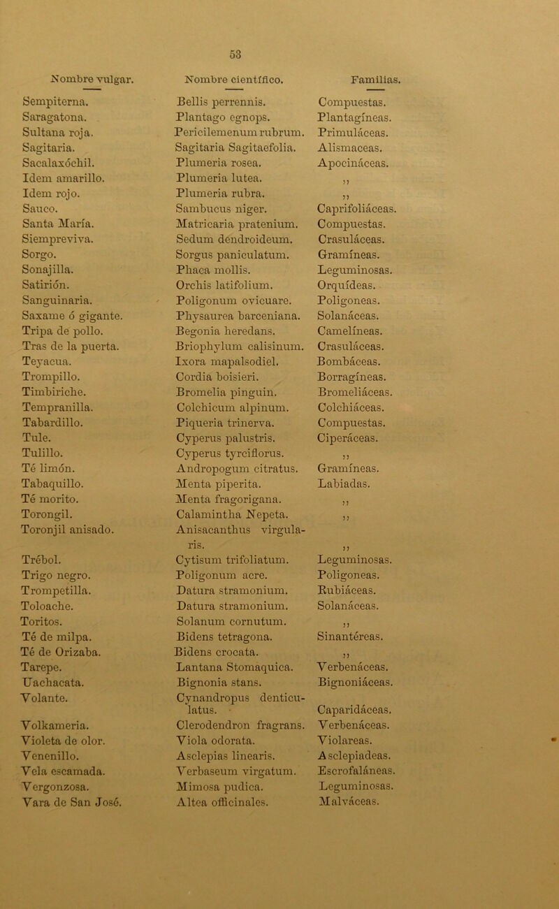 Nombre vulgar. Nombre científico. Familias. Sempiterna. Bellis perrennis. Compuestas. Saragatona. Plantago cgnops. Plantagíneas. Sultana roja. Pericilemenum rubrum. Primuláceas. Sagitaria. Sagitaria Sagitaefolia. Alismaceas. Sacalaxóckil. Plumería rosea. Apocináceas. Idem amarillo. Plumería lútea. Idem rojo. Plumería rubra. n Saúco. Sambucus niger. Caprifoliáceas. Santa María. Matricaria pratenium. Compuestas. Siempreviva. Sedum dendroideum. Crasuláceas. Sorgo. Sorgus paniculatum. Gramíneas. Sonajilla. Phaca mollis. Leguminosas. Satirión. Orchis latifolium. Orquídeas. Sanguinaria. Poligonum ovicuare. Poligoneas. Saxame ó gigante. Physaurea barceniana. Solanáceas. Tripa de pollo. Begonia heredans. Camelíneas. Tras de la puerta. Briophylum calisinum. Crasuláceas. Teyacua. Ixora mapalsodiel. Bombáceas. Trompillo. Cordia boisieri. Borragíneas. Timbiriche. Bromelia pinguin. Bromeliáceas. Tempranilla. Colchicum alpinum. Colchiáceas. Tabardillo. Piquería trinerva. Compuestas. Tule. Cyperus palustris. Ciperáceas. Tulillo. Cyperus tyrciflorus. J? Té limón. Andropogum citratus. Gramíneas. Tabaquillo. Menta piperita. Labiadas. Té morito. Menta fragorigana. n Torongil. Toronjil anisado. Calamintha Nepeta. Anisacantbus virgula- ris. Cytisum trifoliatum. n Trébol. n Leguminosas. Trigo negro. Poligonum acre. Poligoneas. Trompetilla. Datura stramonium. Rubiáceas. Toloache. Datura stramonium. Solanáceas. Toritos. Solanum cornutum. n Té de milpa. Bidens tetragona. Sinantéreas. Té de Orizaba. Bidens crocata. j) Tarepe. Lantana Stomaquica. Verbenáceas. Uachacata. Bignonia stans. Bignoniáceas. Volante. Cynandropus denticu- latus. • Caparidáceas. Volkameria. Clerodendron fragrans. Verbenáceas. Violeta de olor. Viola odorata. Violareas. Venenillo. Asclepias linearis. Asclepiadeas. Vela escamada. Verbaseum virgatum. Escrofaláneas. V ergonzosa. Mimosa púdica. Leguminosas. Vara de San José. Altea officinales. Malváceas.