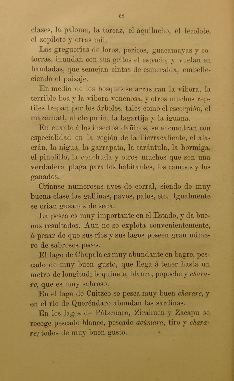 clases, la paloma, la torcaz, el aguilucho, el tecolote, el zopilote y otras mil. Las greguerías de loros, pericos, guacamayas y co- torras, inundan con sus gritos el espacio, y vuelan en bandadas, que semejan cintas de esmeralda, embelle- ciendo el paisaje. En medio de los bosques se arrastran la víbora, la terrible boa y la víbora venenosa, y otros muchos rep- tiles trepan por los árboles, tales como el escorpión, el mazacuatl, el chapulín, la lagartija y la iguana. En cuanto á los insectos dañinos, se encuentran con especialidad en la región de la Tierracaliente, el ala- crán, 1a, nigua, la garrapata, la tarántula, la hormiga, el pinolillo, la conchuda y otros muchos que son una verdadera plaga para los habitantes, los campos y los ganados. Cíñanse numerosas aves de corral, siendo de muy buena clase las gallinas, pavos, patos, etc. Igualmente se crían gusanos de seda. La pesca es muy importante en el Estado, y da bue- nos resultados. Aun no se explota convenientemente, á pesar de que sus ríos y sus lagos poseen gran núme- ro de sabrosos peces. El lago de Chapala es muy abundante en bagre, pes- cado de muy buen gusto, que llega á tener hasta un metro de longitud; boquinete, blanca, popoche y chava- re, que es muy sabroso. En el lago de Cuitzeo se pesca muy buen chavare, y en el río de Queréndaro abundan las sardinas. En los lagos de Pátzcuaro, Zirahuen y Zacapu se recoge pescado blanco, pescado acúmava, tiro y chava- re; todos de muy buen gusto.