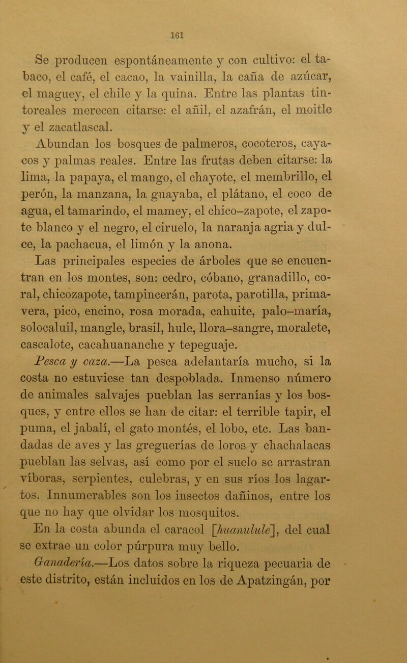 1G1 Se producen espontáneamente y con cultivo: el ta- baco, el cafó, el cacao, la vainilla, la caña de azúcar, el maguey, el chile y la quina. Entre las plantas tin- toreales merecen citarse: el añil, el azafrán, el moitle y el zacatlascal. Abundan los bosques de palmeros, cocoteros, cayu- cos y palmas reales. Entre las frutas deben citarse: la lima, la papaya, el mango, el chayóte, el membrillo, el perón, la manzana, la guayaba, el plátano, el coco de agua, el tamarindo, el mamey, el chico-zapote, el zapo- te blanco y el negro, el ciruelo, la naranja agria y dul- ce, la pachacua, el limón y la anona. Las principales especies de árboles que se encuen- tran en los montes, son: cedro, cóbano, granadillo, co- ral, chicozapote, tampincerán, parota, parotilla, prima- vera, pico, encino, rosa morada, cahuite, palo-maría, solocaluil, mangle, brasil, hule, llora-sangre, moralete, cascalote, cacahuananche y tepeguaje. Pesca y caza.—La pesca adelantaría mucho, si la costa no estuviese tan despoblada. Inmenso número de animales salvajes pueblan las serranías y los bos- ques, y entre ellos se han de citar: el terrible tapir, el puma, el jabalí, el gato montés, el lobo, etc. Las ban- dadas de aves y las greguerías de loros y chachalacas pueblan las selvas, así como por el suelo se arrastran víboras, serpientes, culebras, y en sus ríos los lagar- s tos. Innumerables son los insectos dañinos, entre los que no hay que olvidar los mosquitos. En la costa abunda el caracol \lmanulule~], del cual se extrae un color púrpura muy bello. Ganadería.—Los datos sobre la riqueza pecuaria de este distrito, están incluidos en los de Apatzingán, por