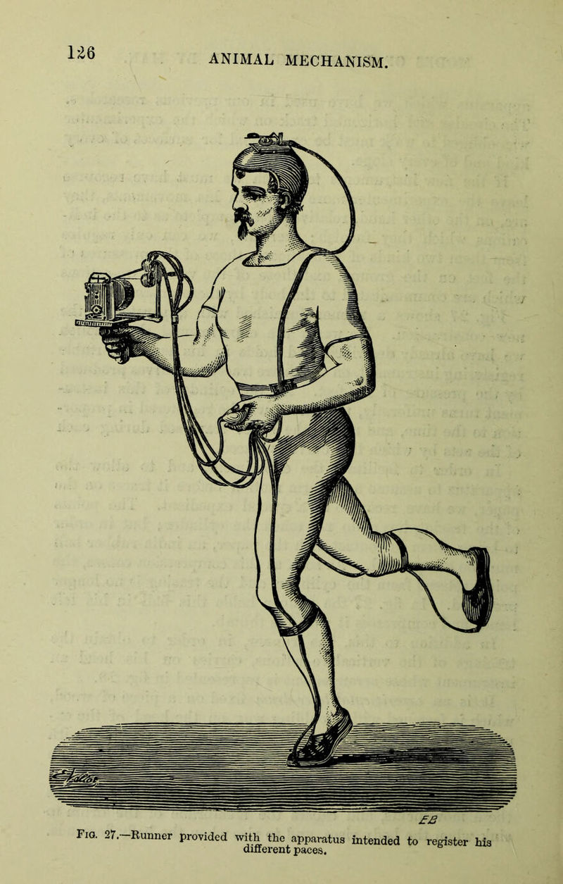 ANIMAL MECHANISM, £JS Fio. 27.—Runner provided with the apparatus intended to register his different paces.