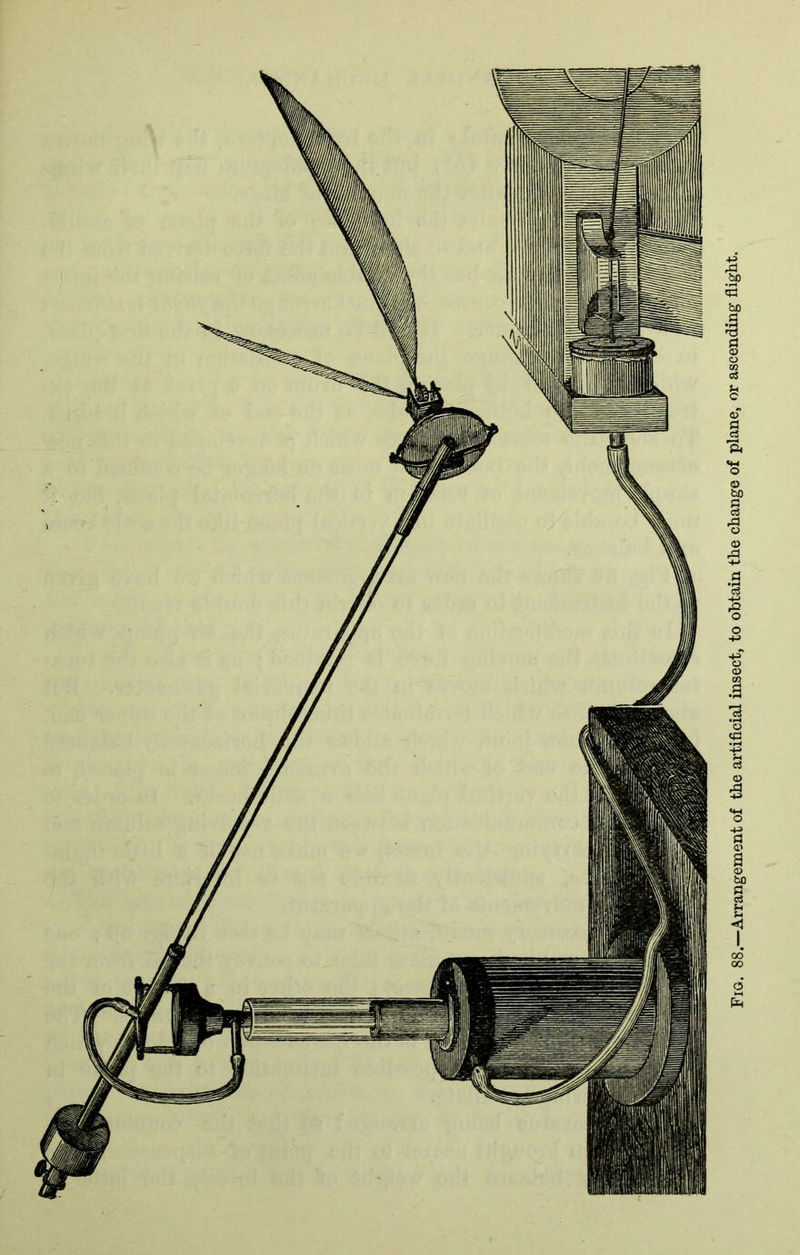 Fig. 88.—Arrangement of the artificial insect, to obtain the change of plane, or ascending flight.